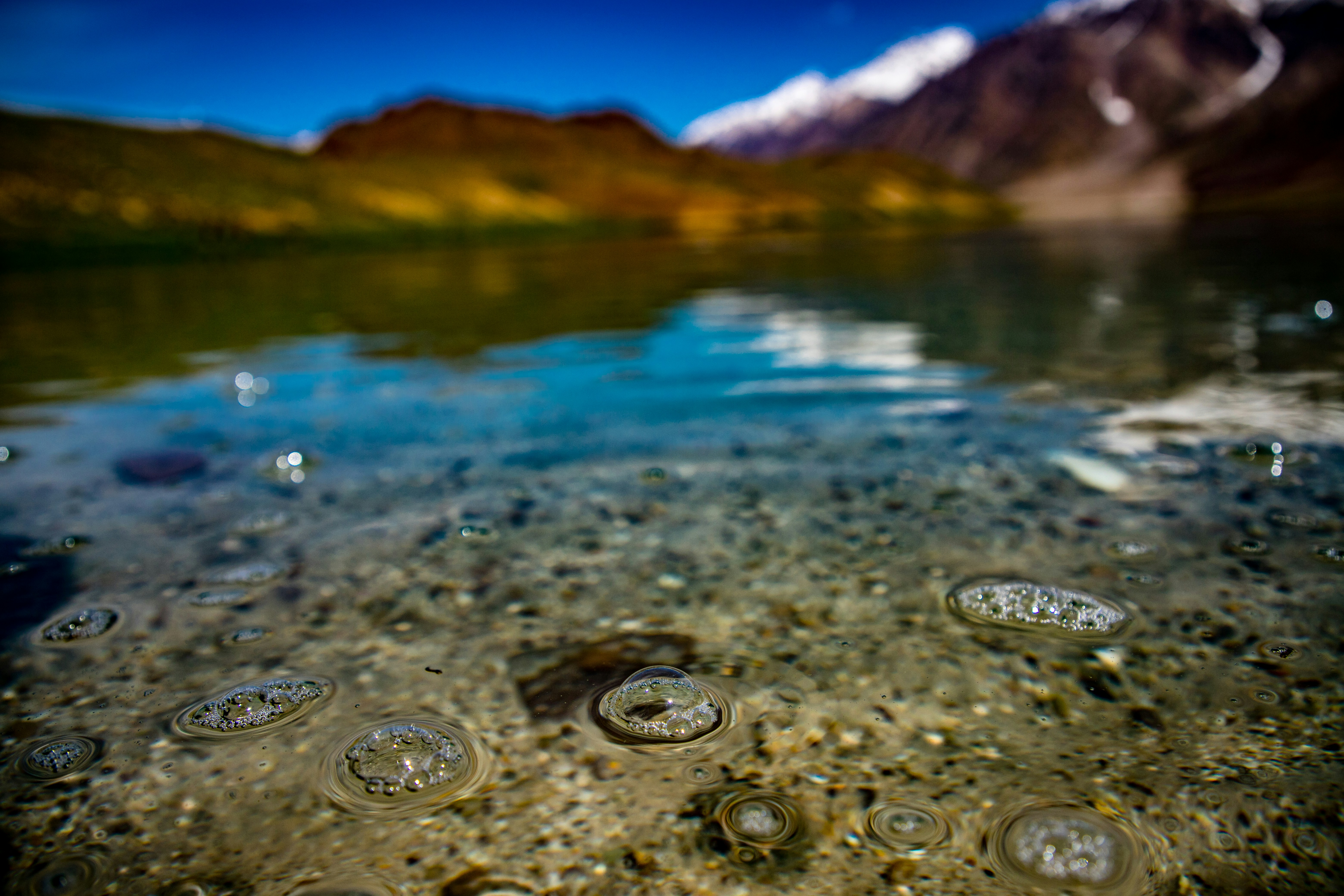 Photo by drunkenchimp