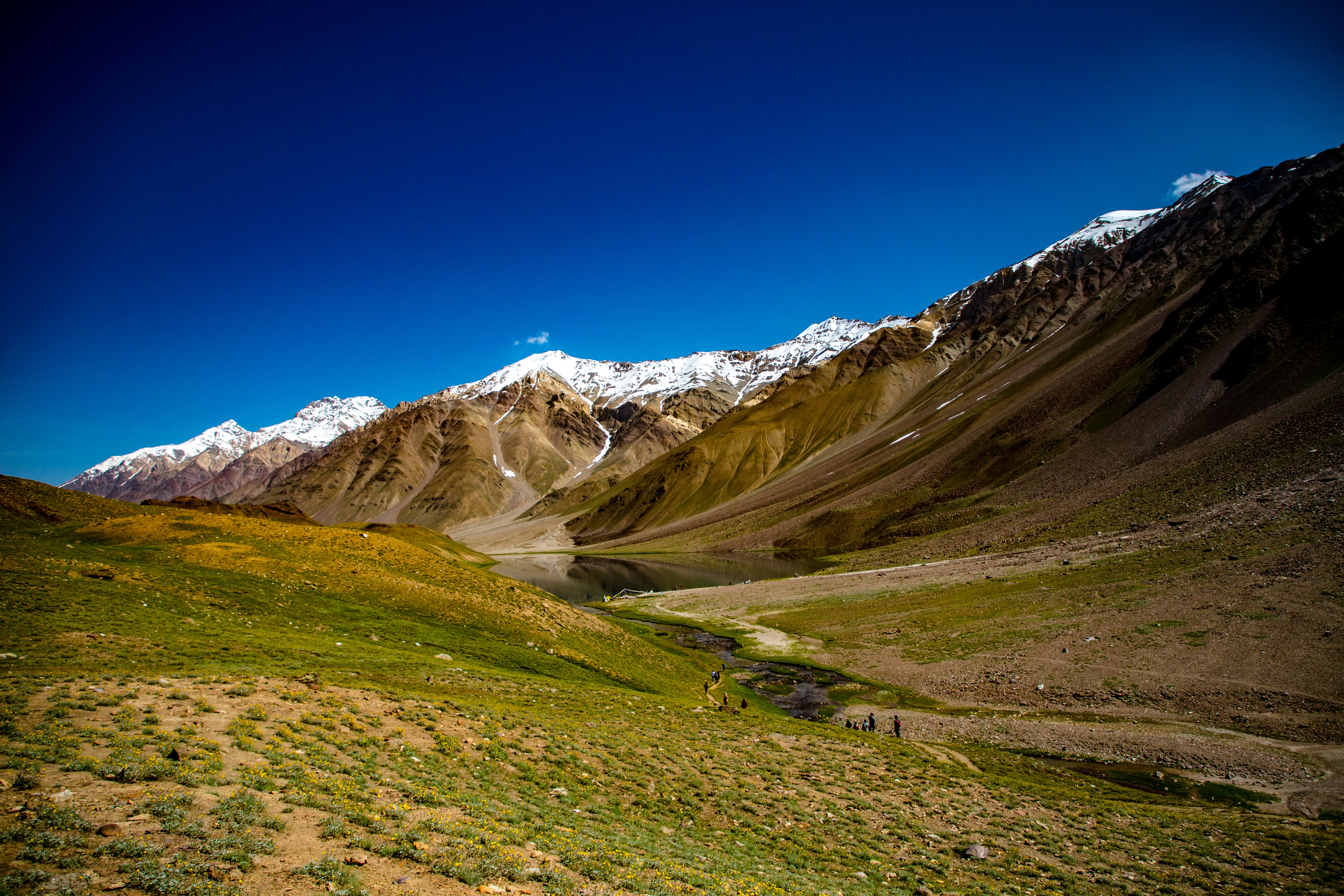 Photo by drunkenchimp