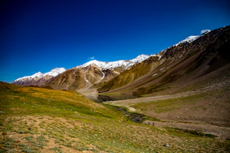 a grassy valley with snow covered mountains
