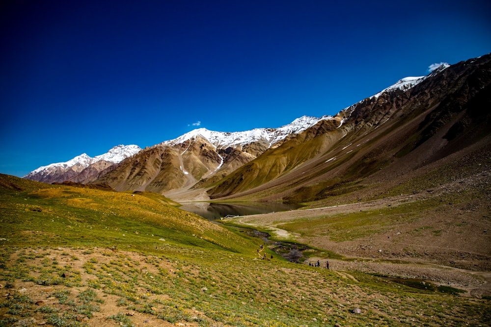 a grassy valley with snow covered mountains