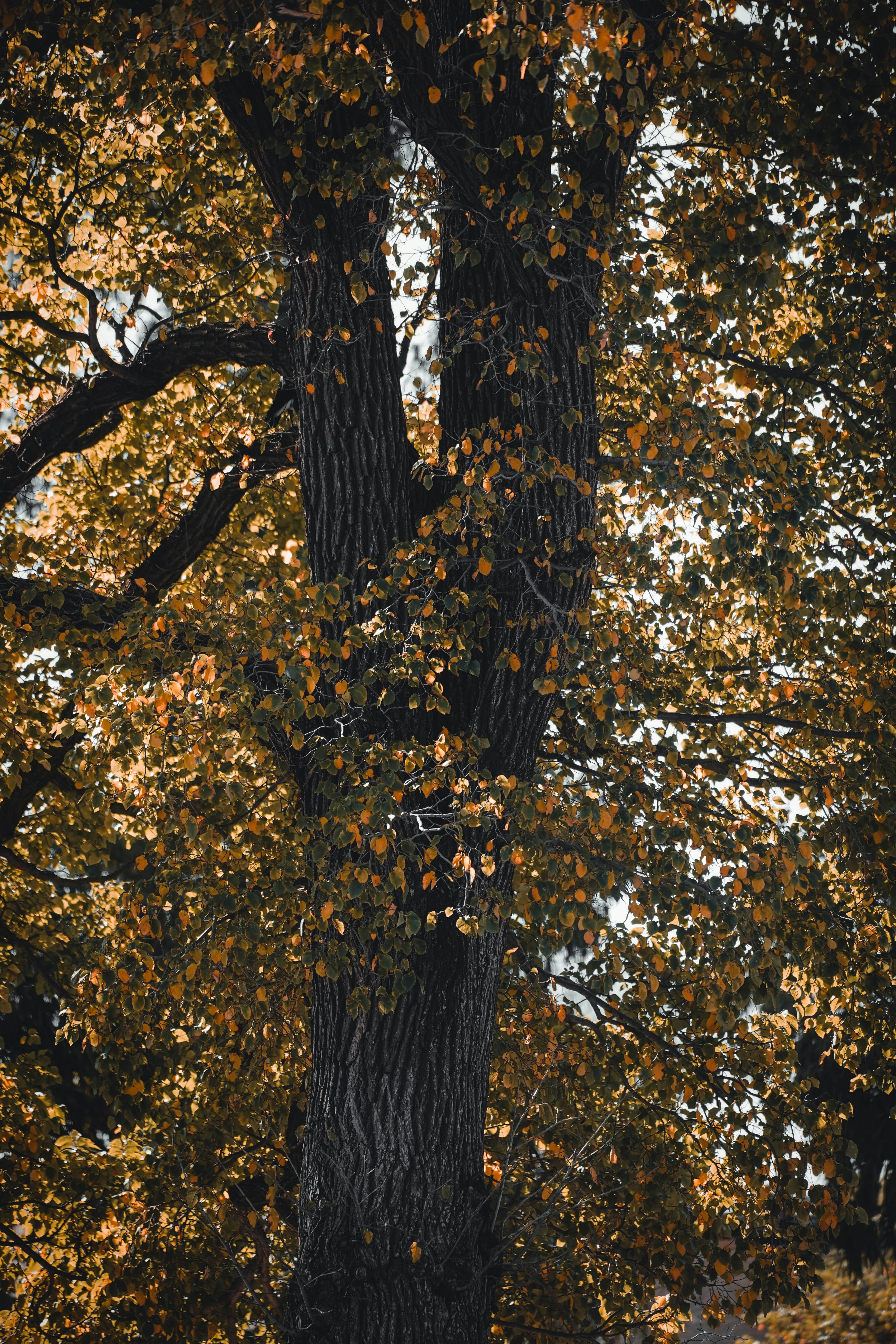 Photo by thedrinkbreak