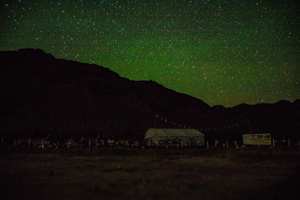 a green aurora in the sky above a building and a group of horses