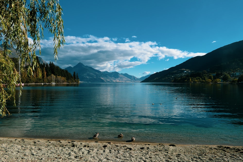 a lake with mountains in the background