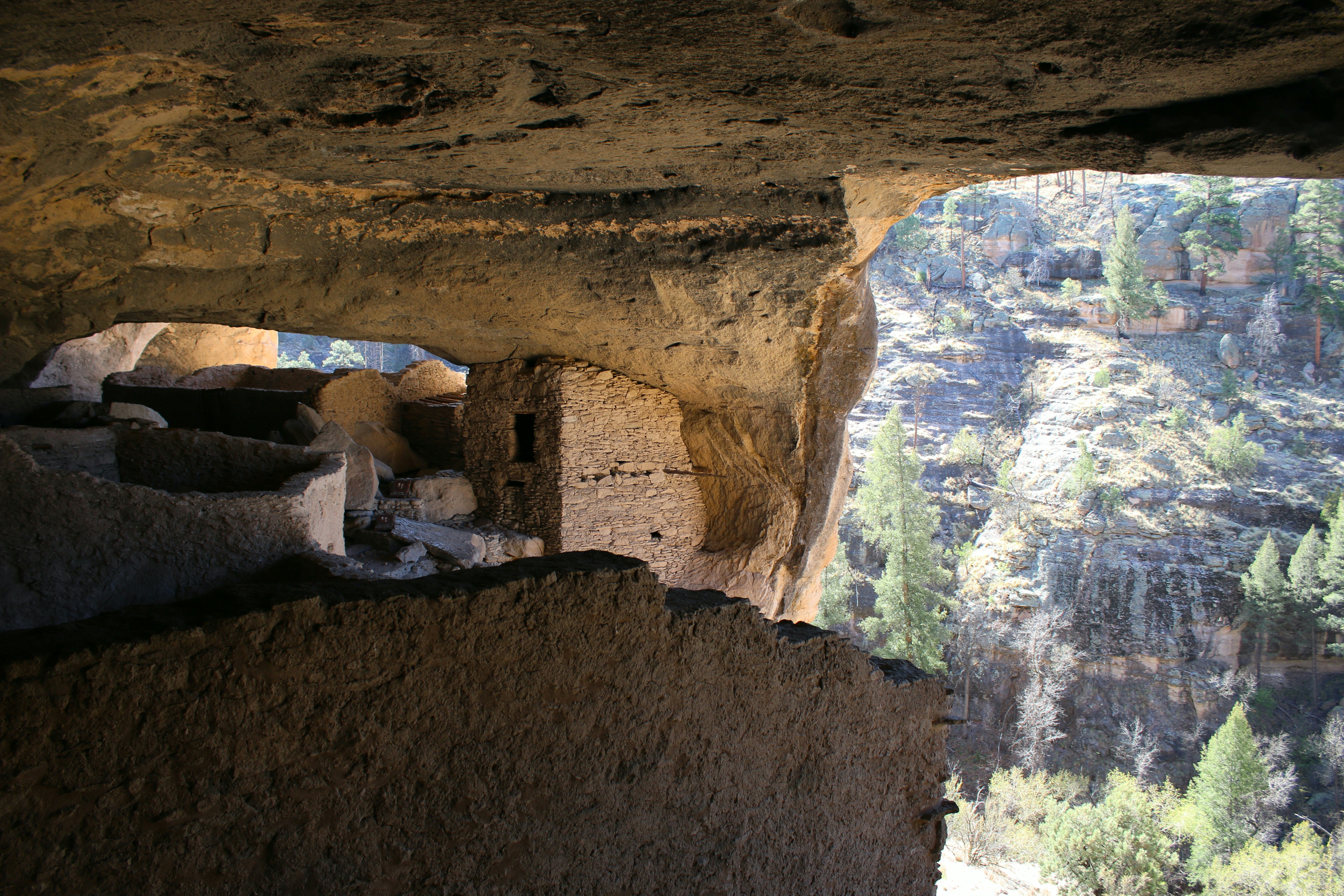 Photo by lauraseaman