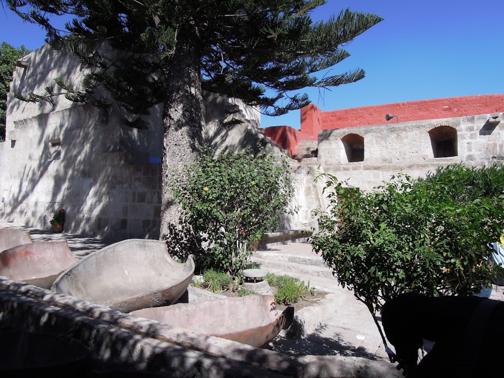 a courtyard with a tree and a building in the background