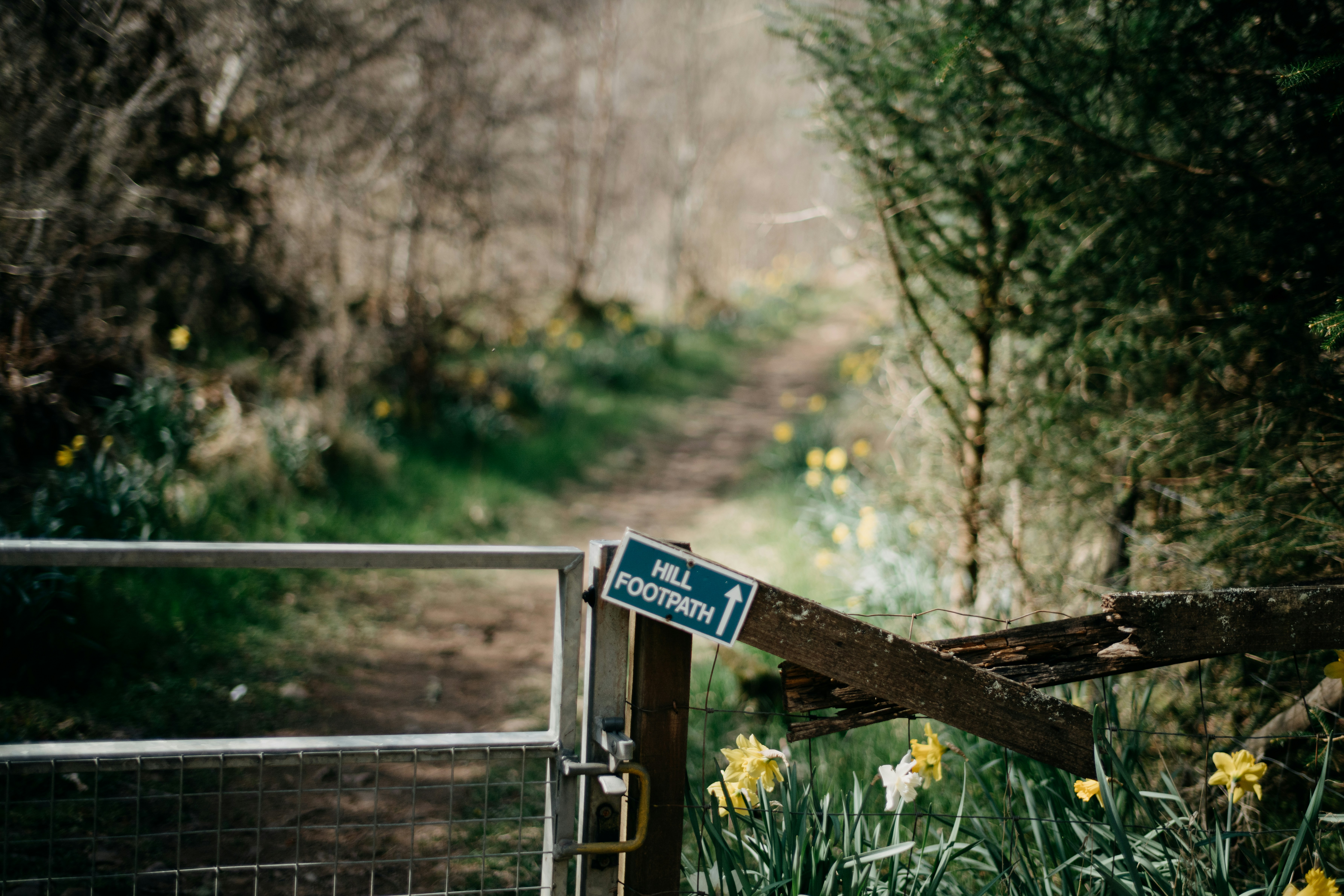 Photo by anniespratt