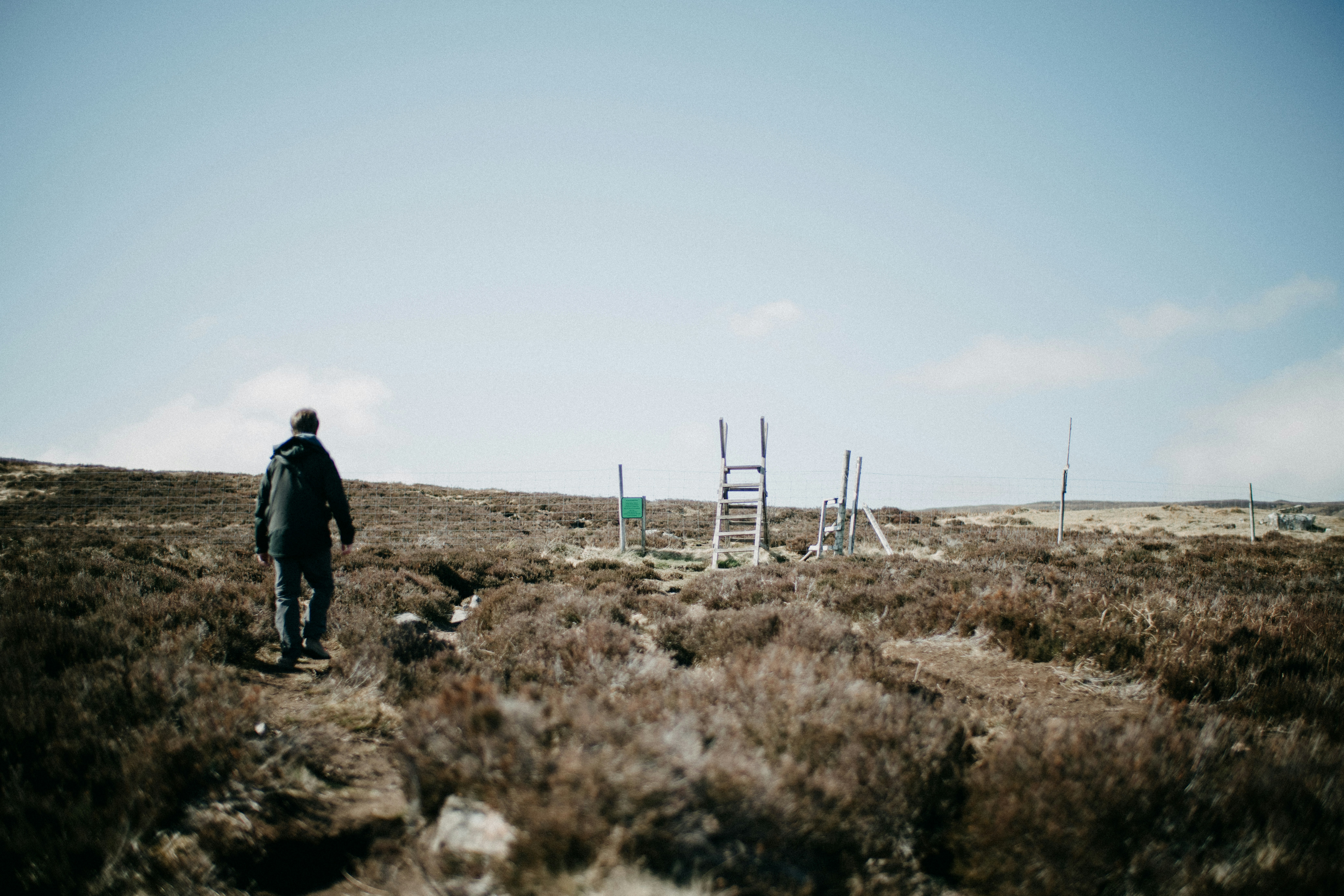 Photo by anniespratt