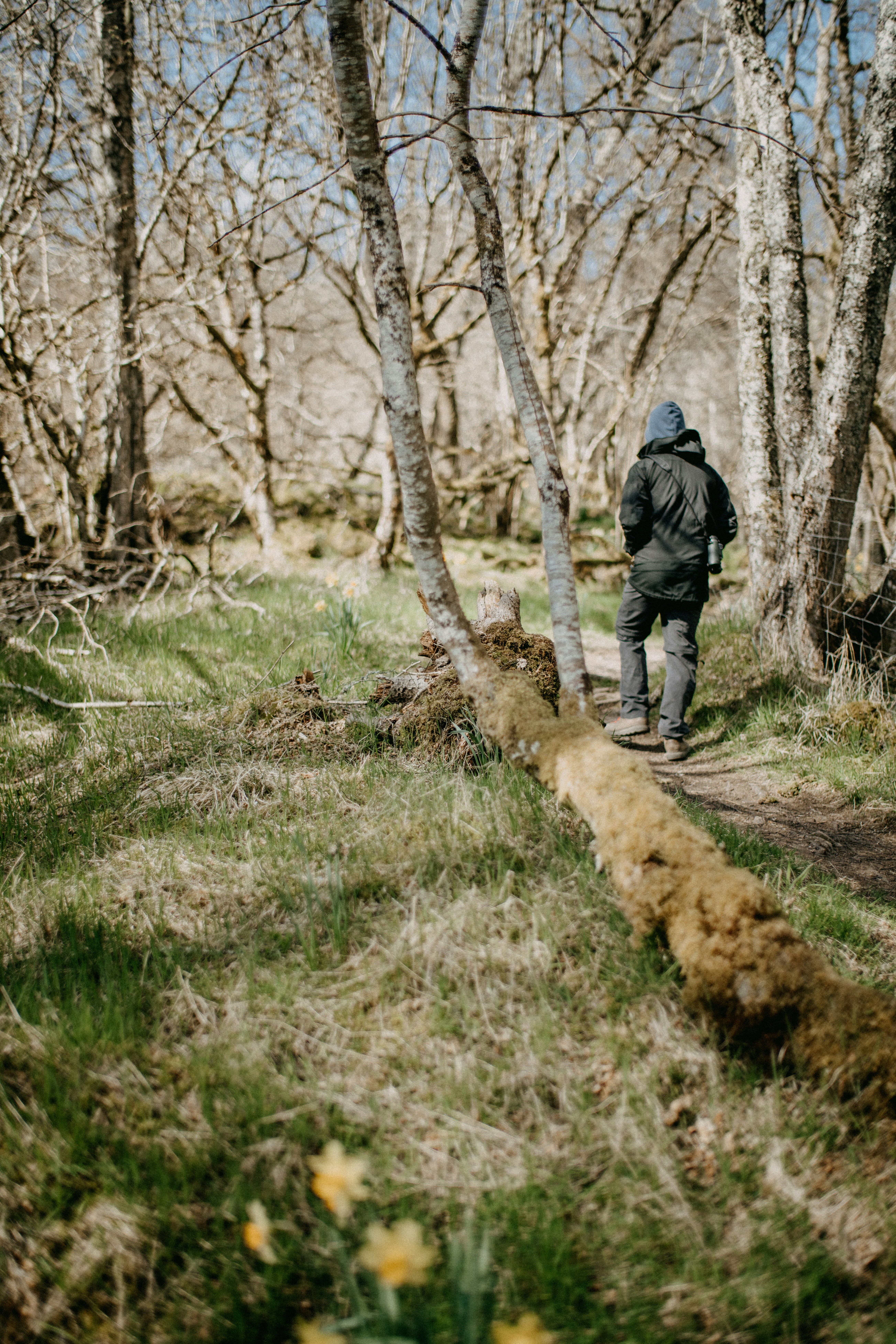 Photo by anniespratt