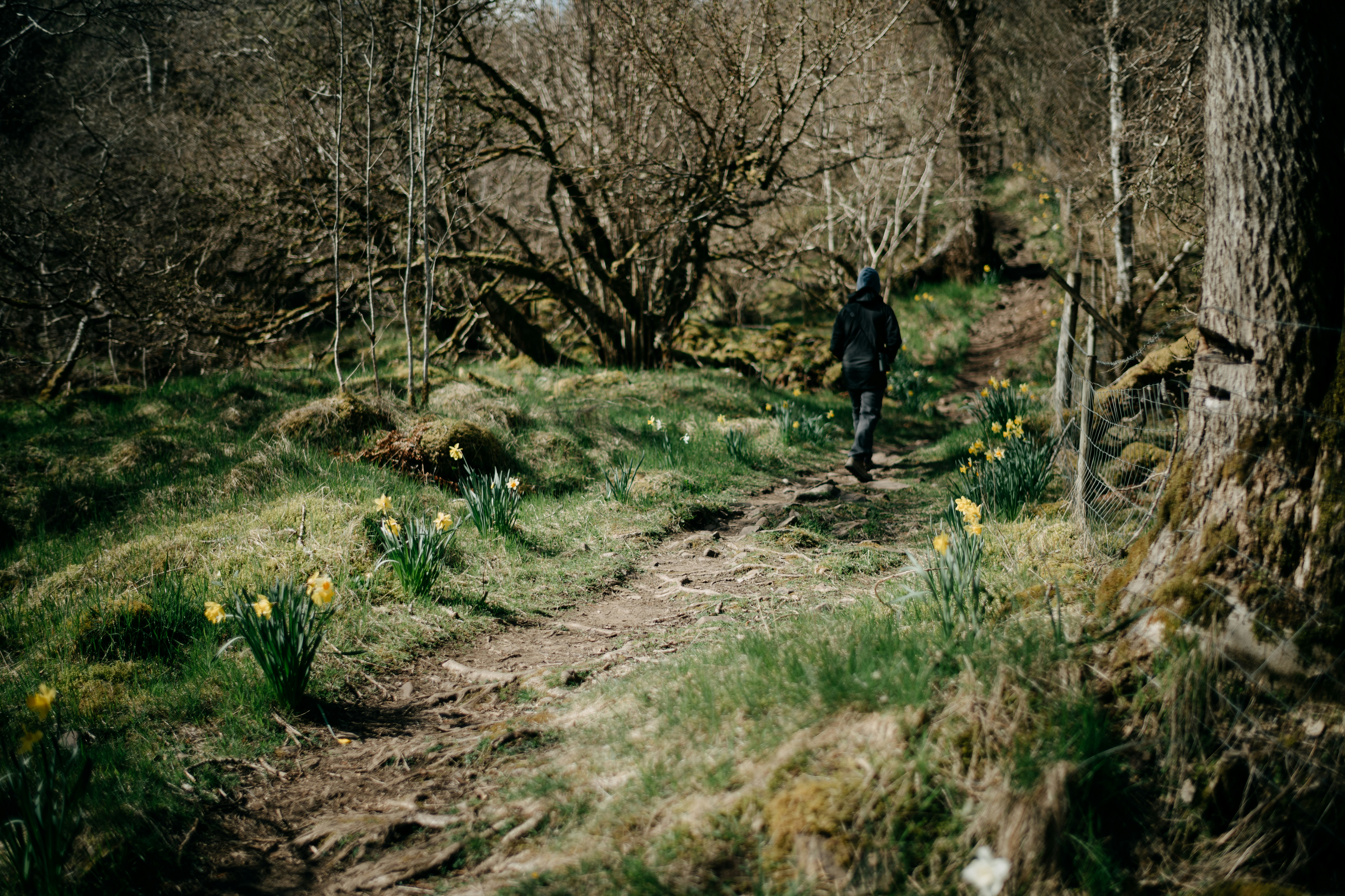 Photo by anniespratt