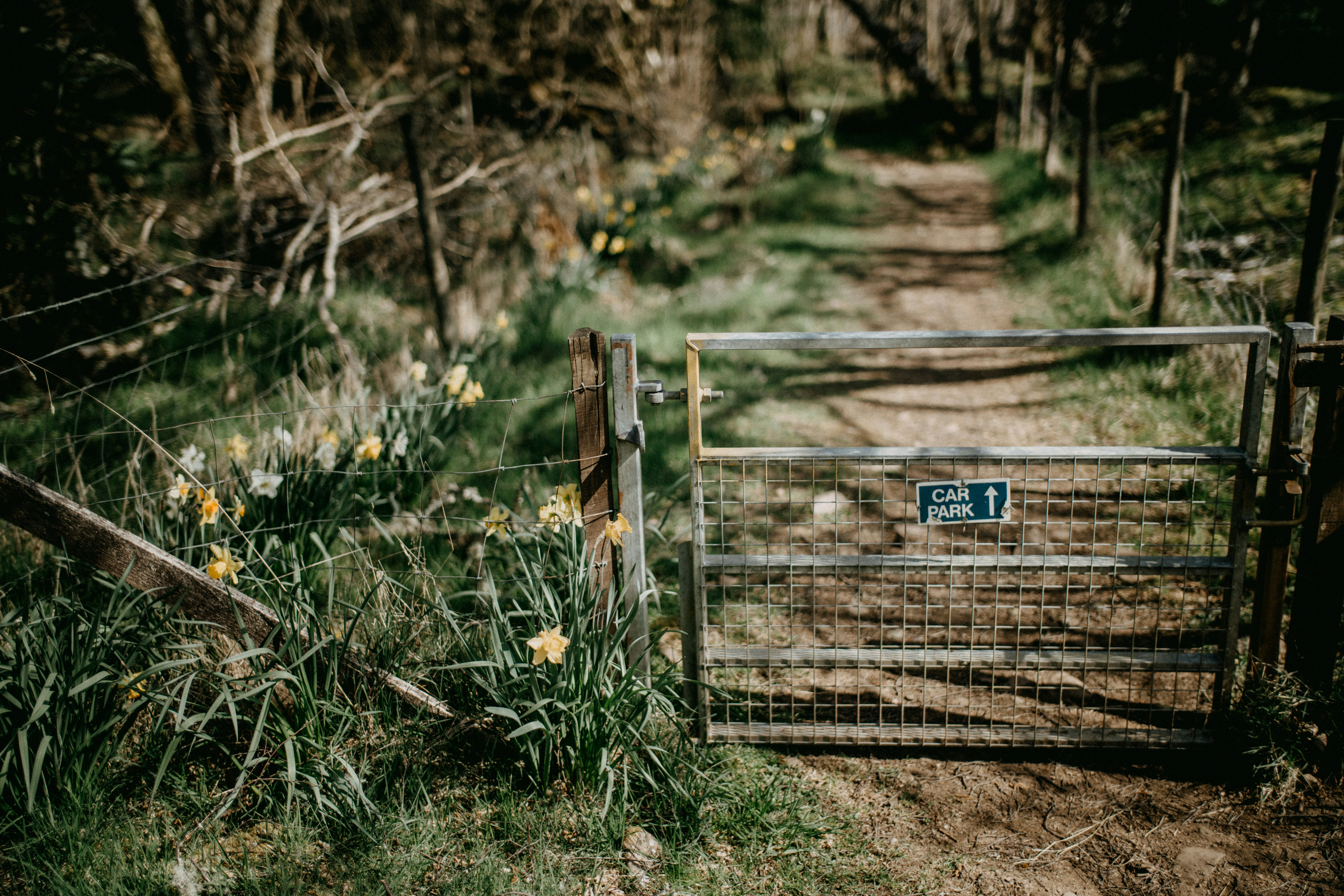 Photo by anniespratt