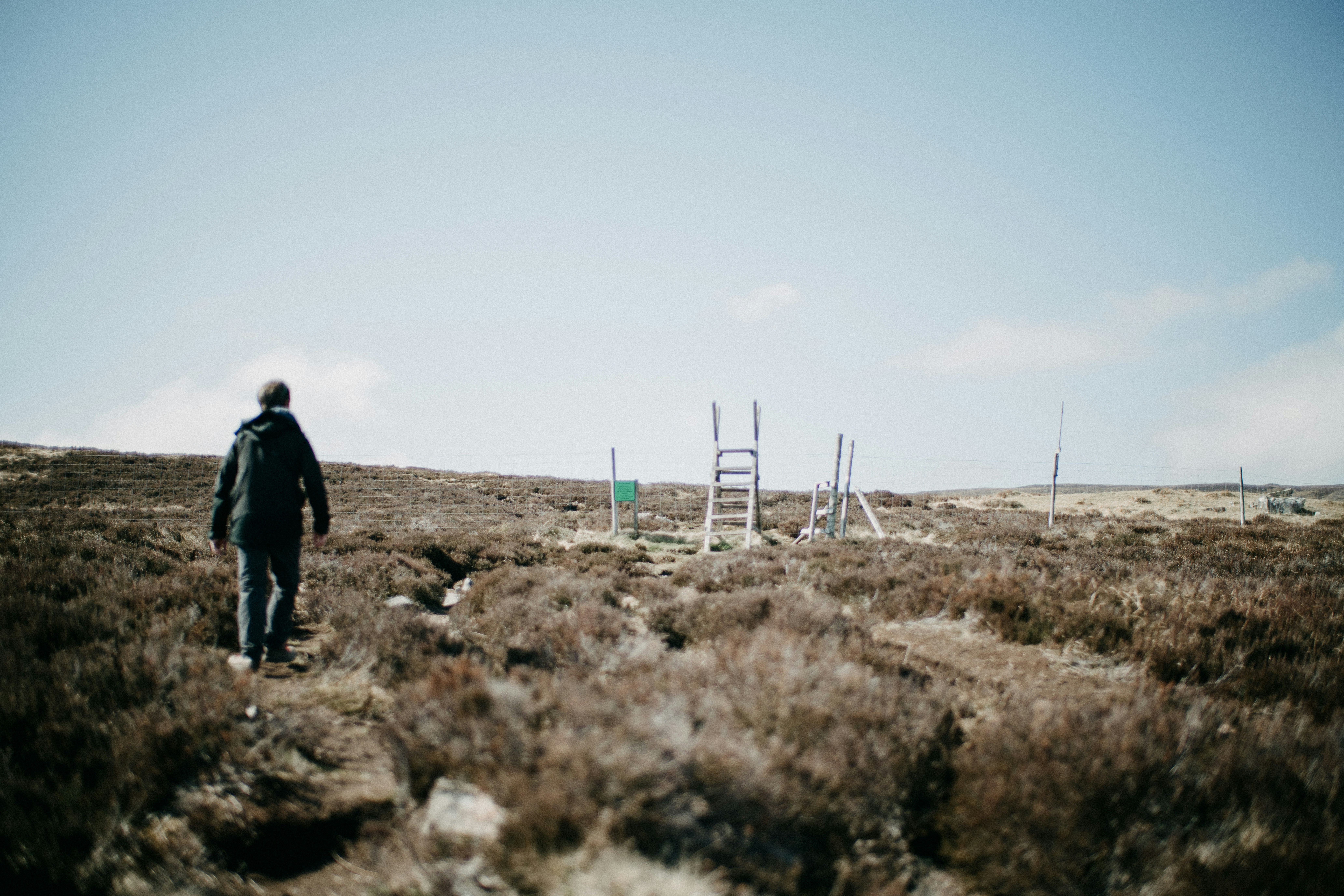 Photo by anniespratt