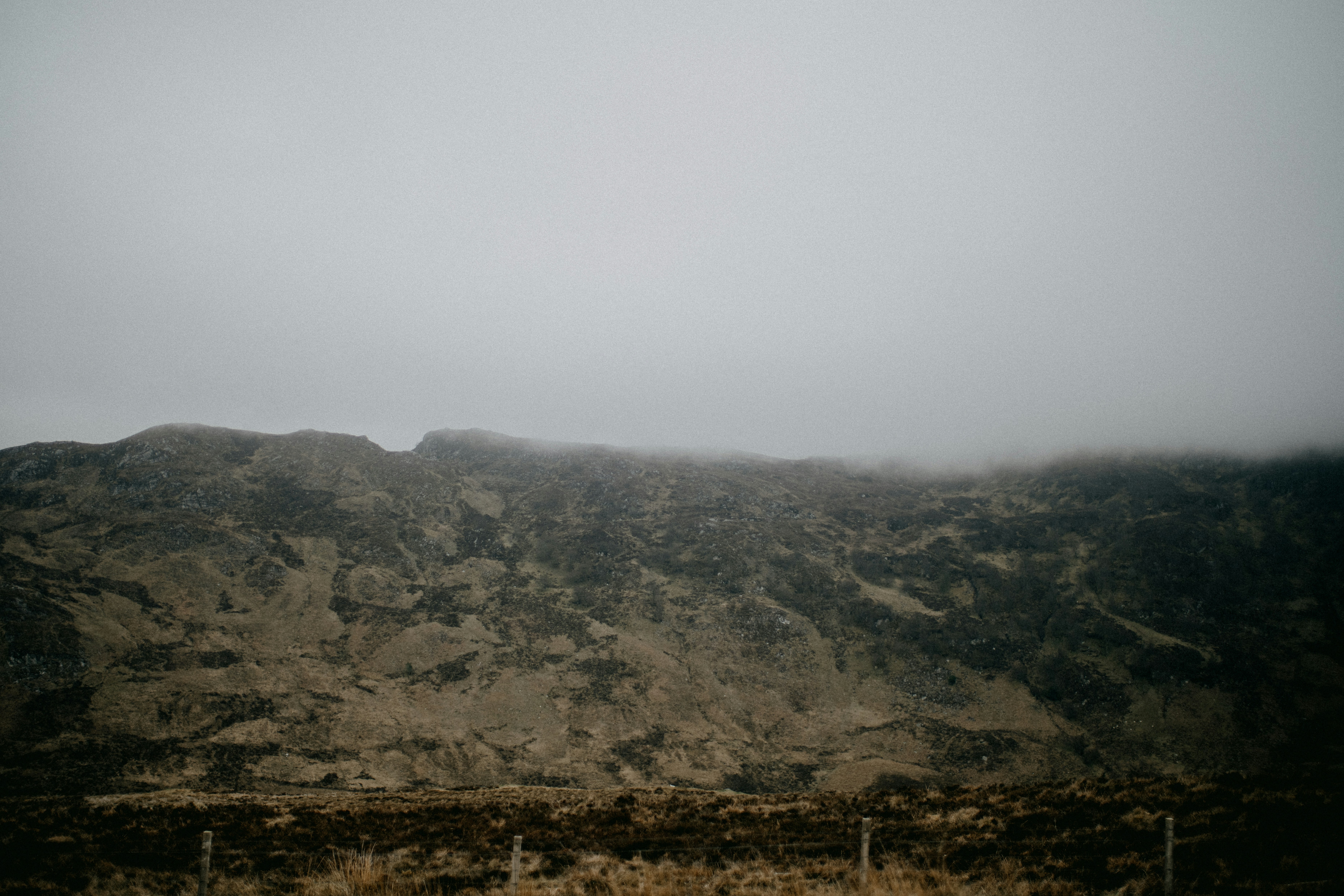 Photo by anniespratt