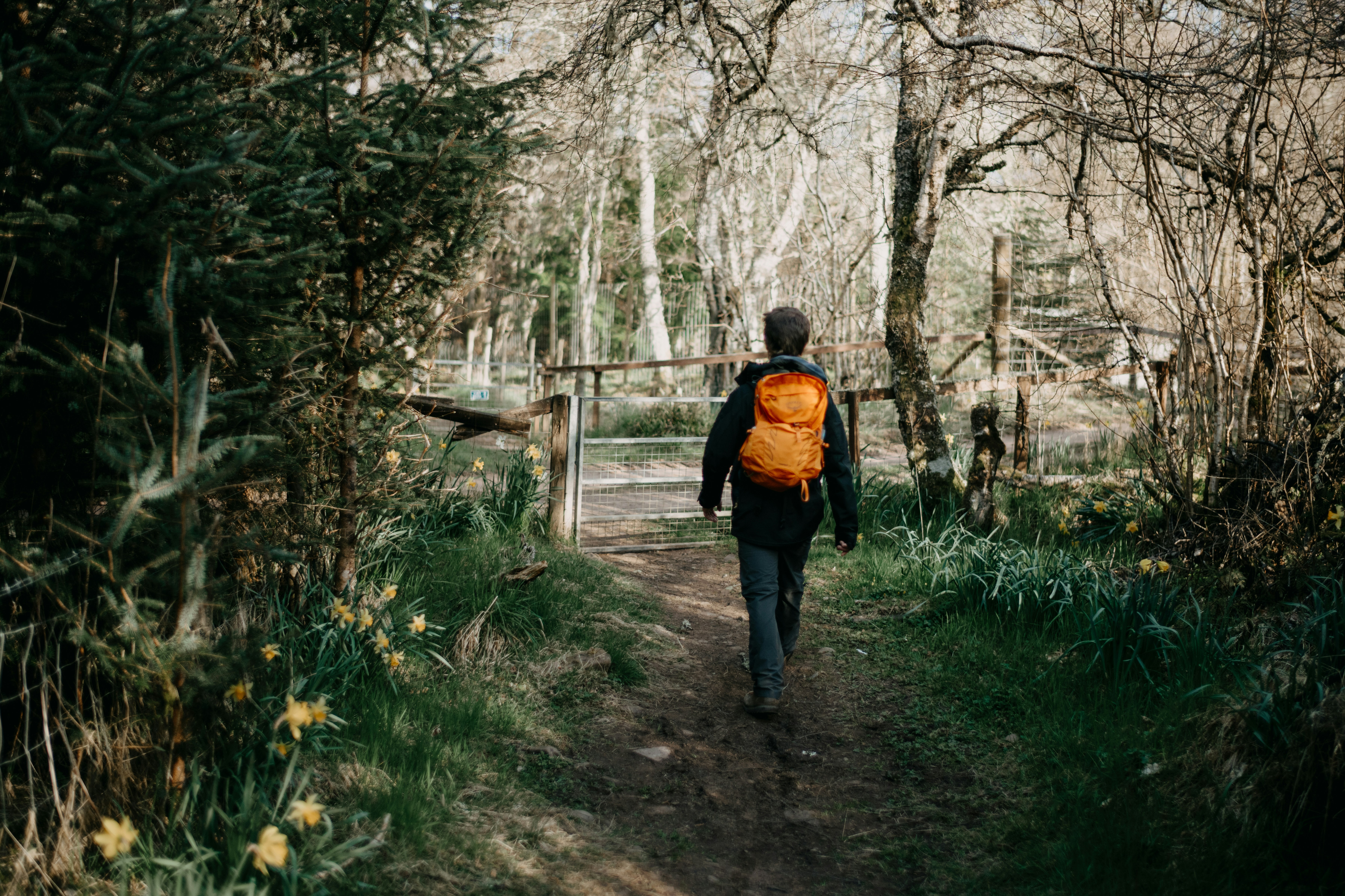 Photo by anniespratt