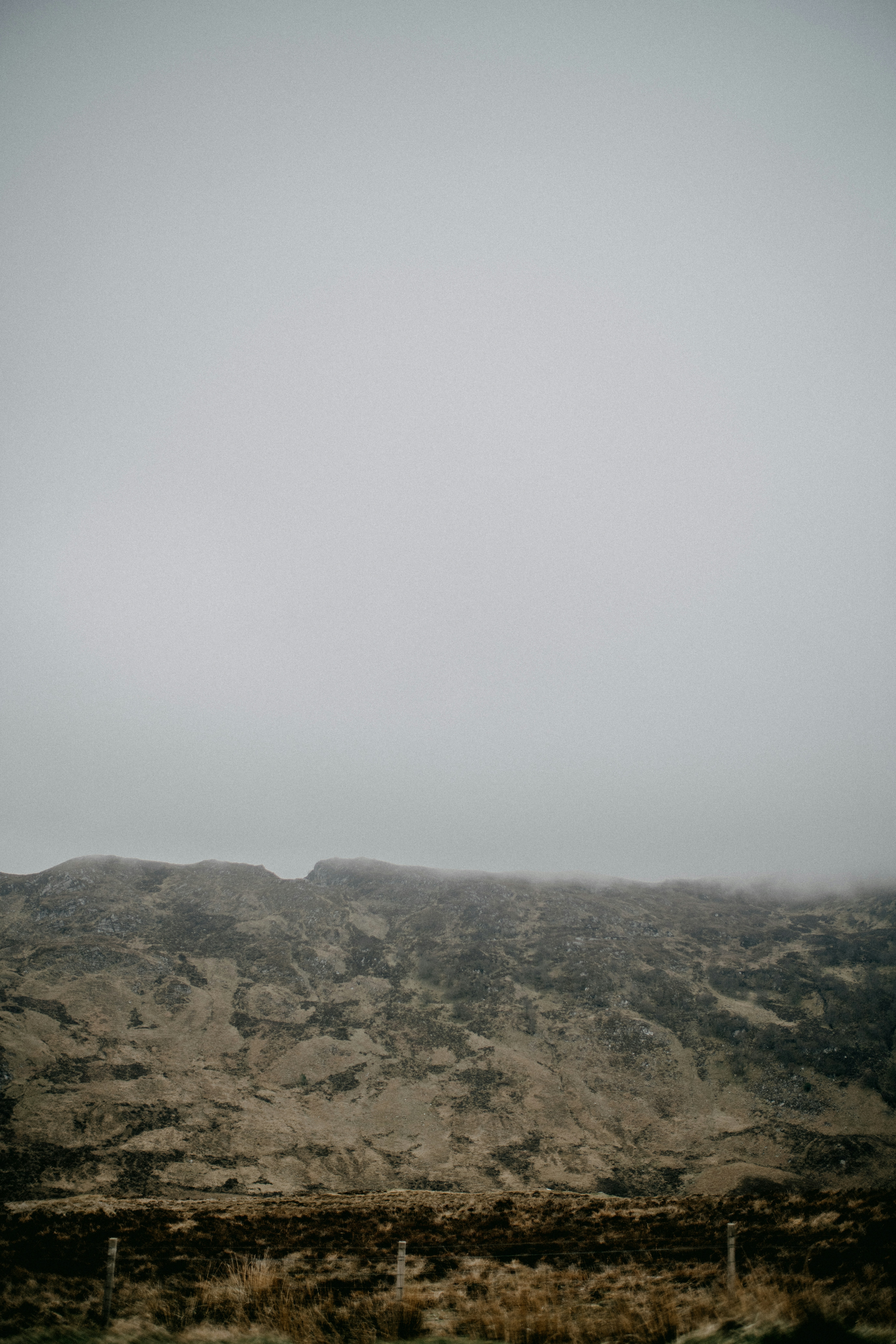 Photo by anniespratt