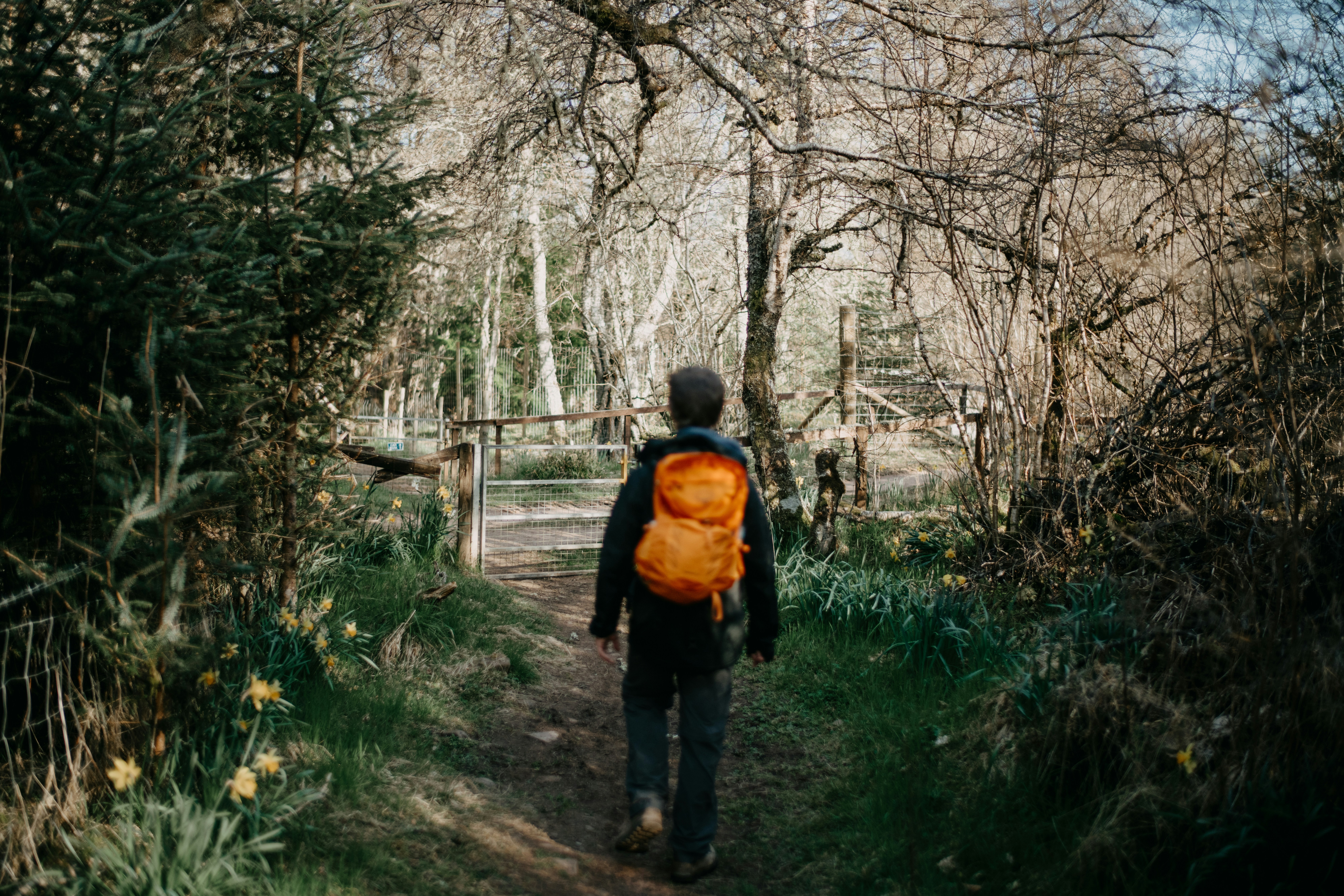 Photo by anniespratt