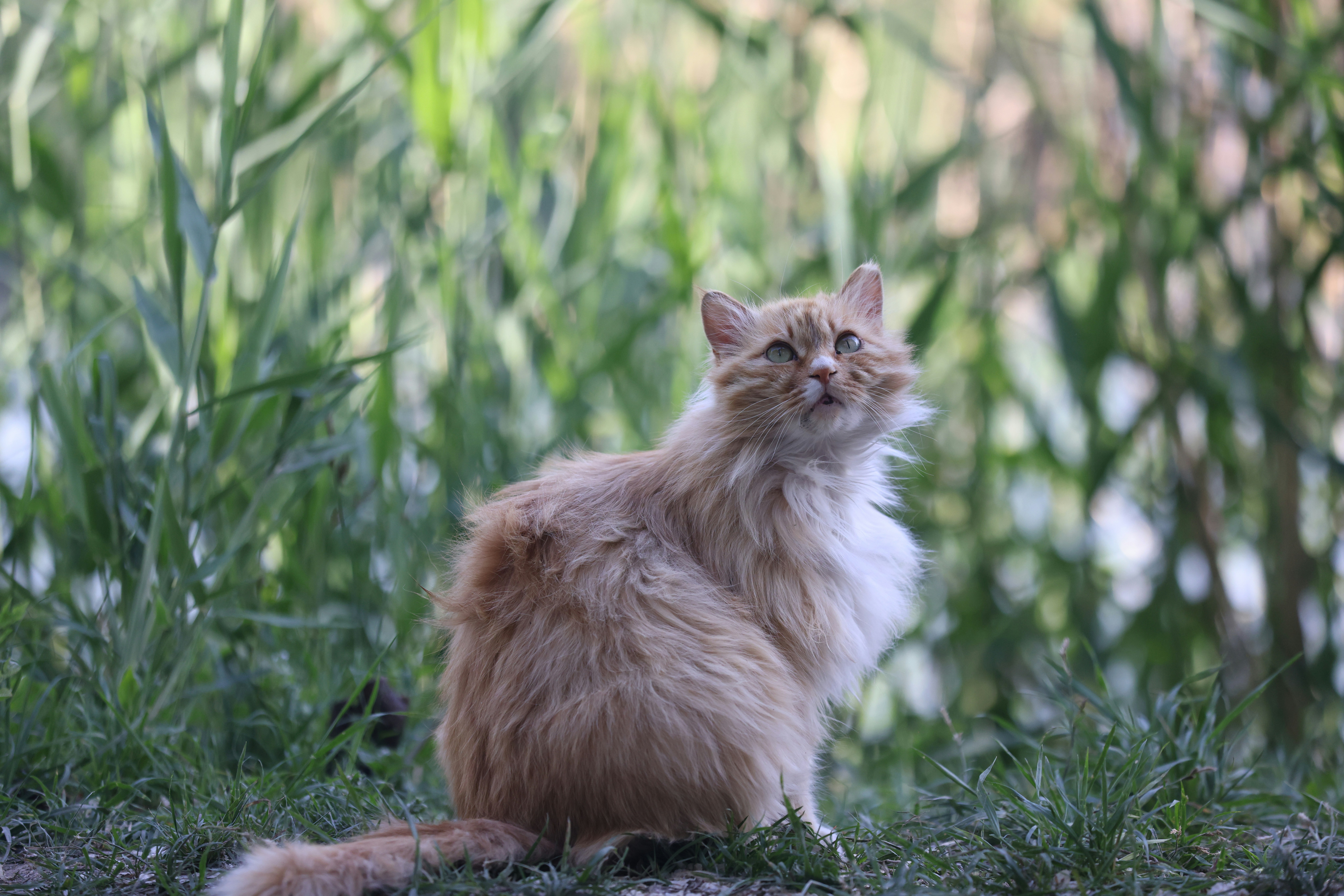 Photo by stevenjoezhang