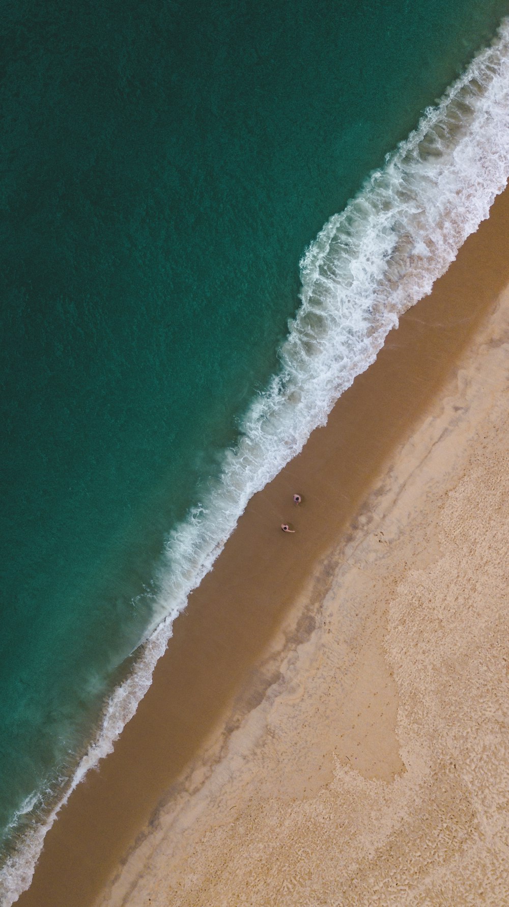 a person swimming in the water