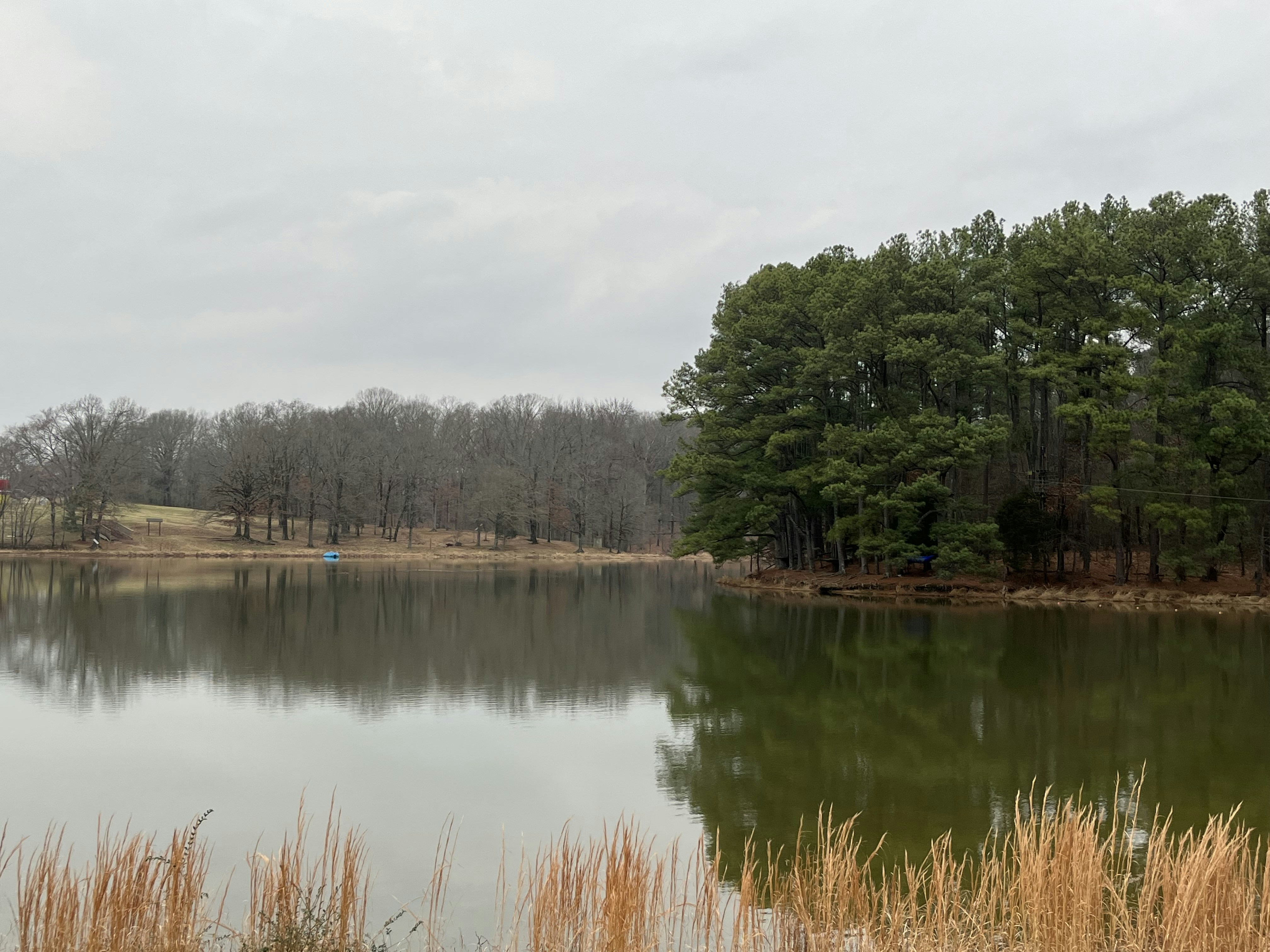 Photo by parthnandania