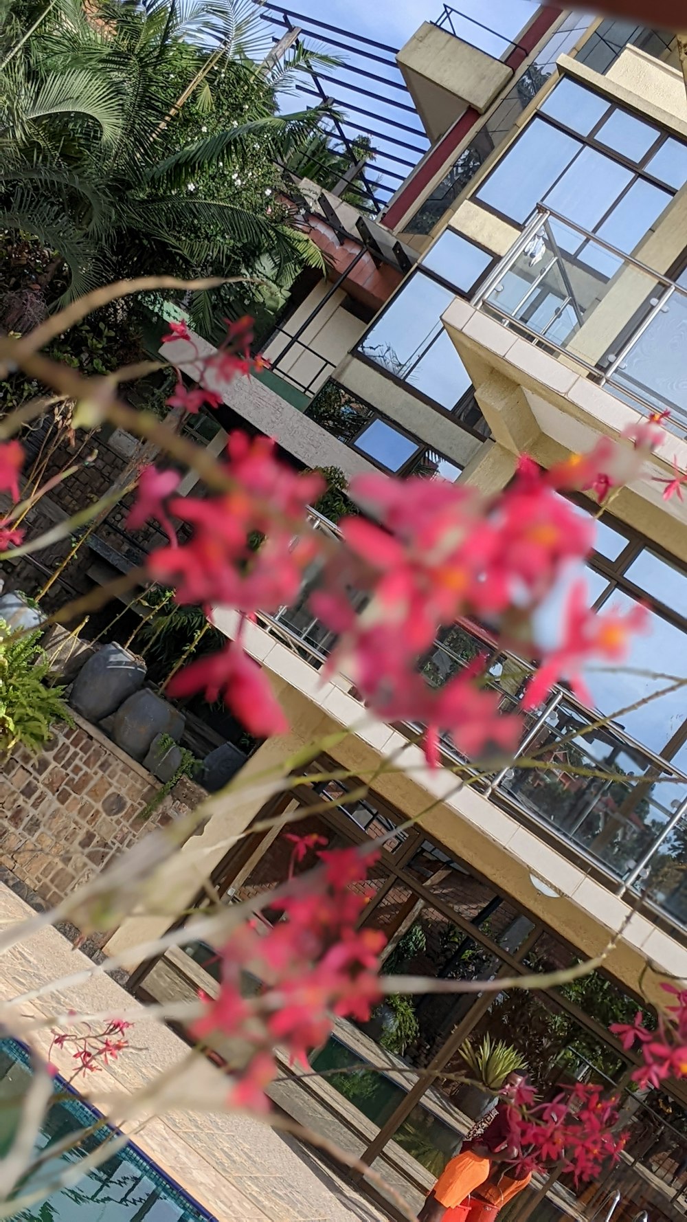 a group of plants next to a building