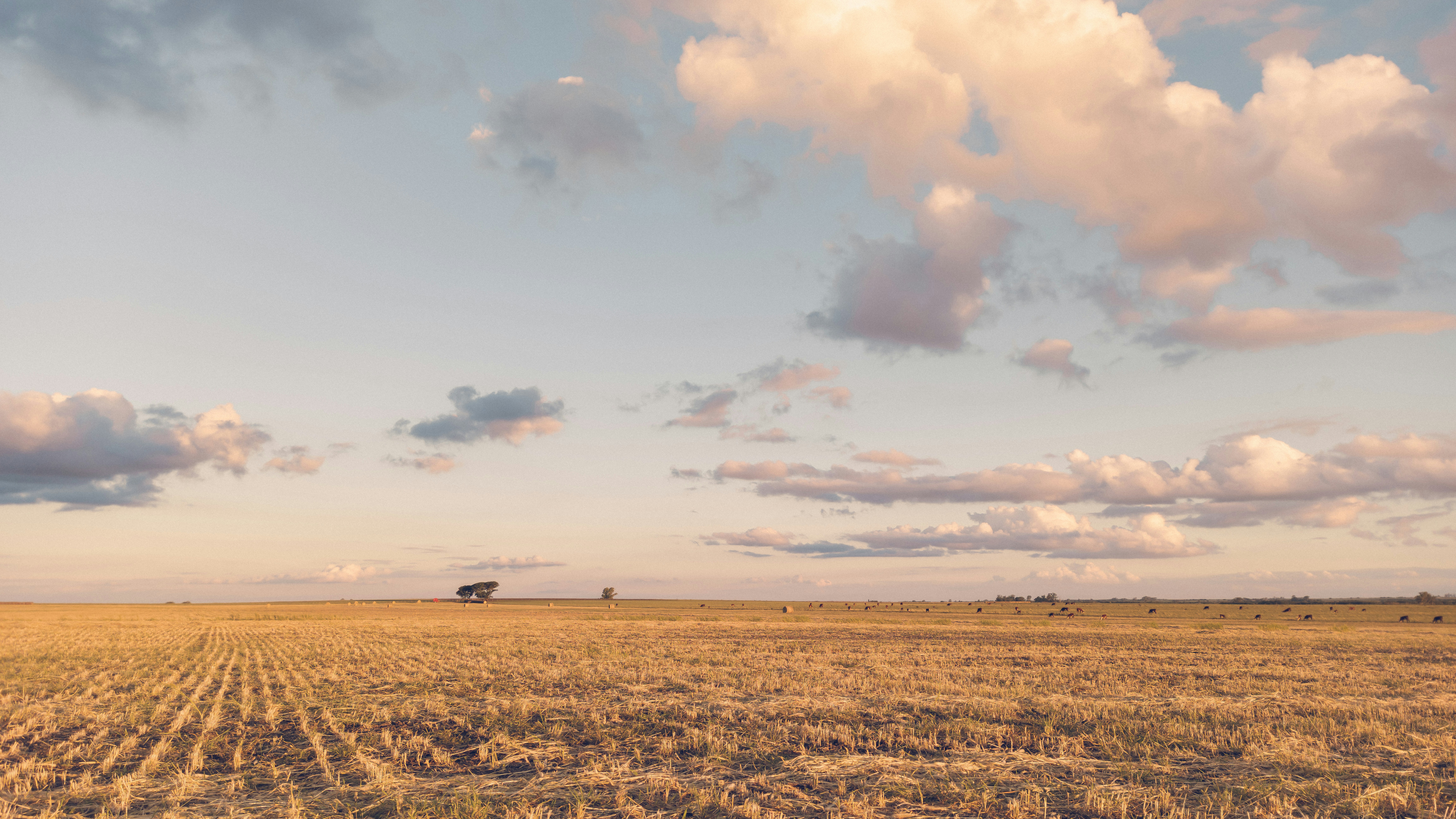 Photo by dariobonzi39