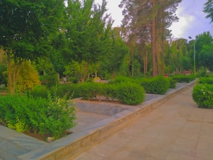 A well-maintained, lush green park with various trees and shrubs lining a paved walkway. The vibrant green foliage is abundant, and the tall trees provide a canopy overhead. There are stone planters and a pathway leading through the park, and the sky is partially visible.