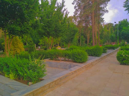 A vibrant green park area within the Florae development, showing lush trees and walking paths.
