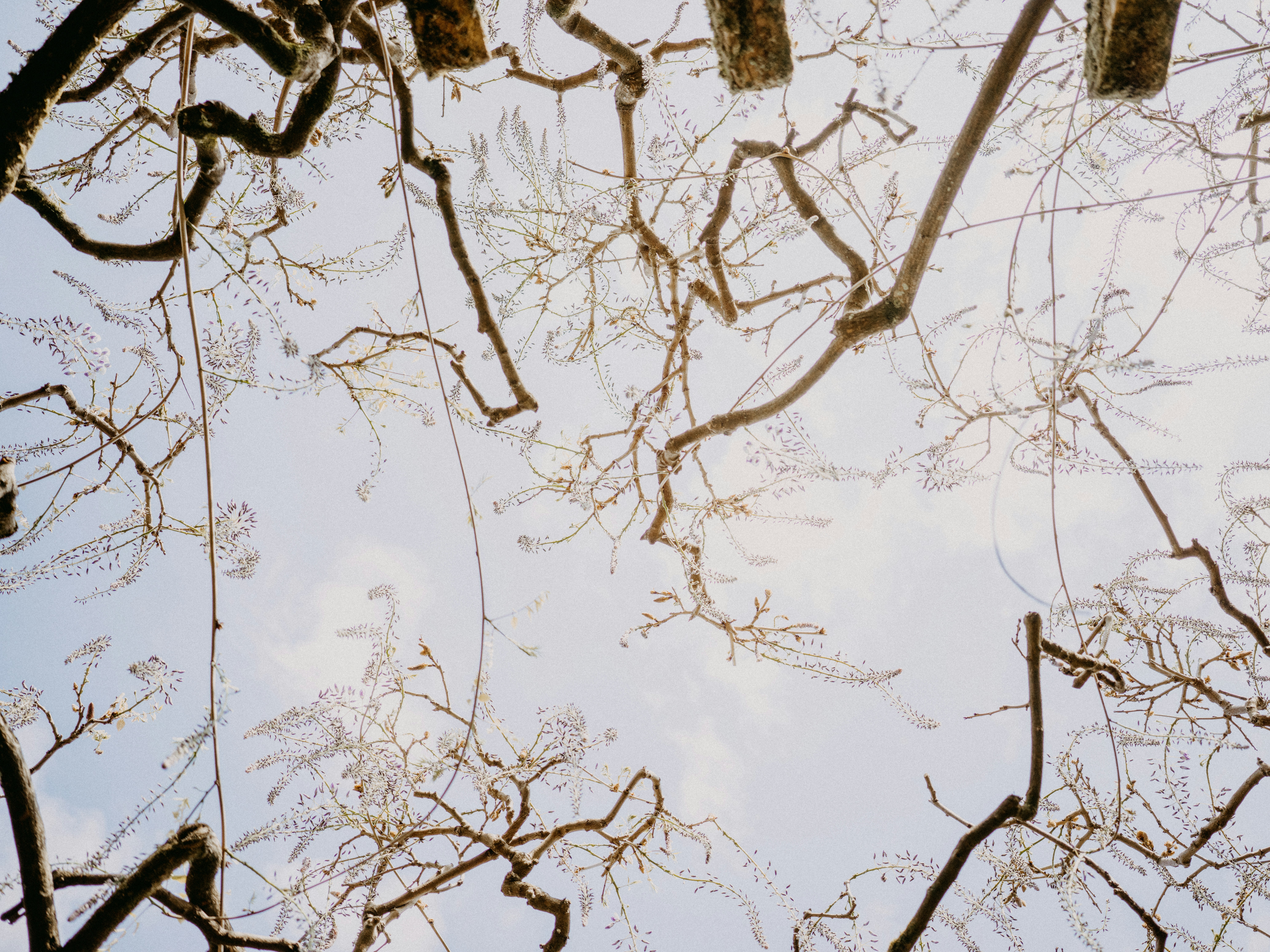 Photo by anniespratt