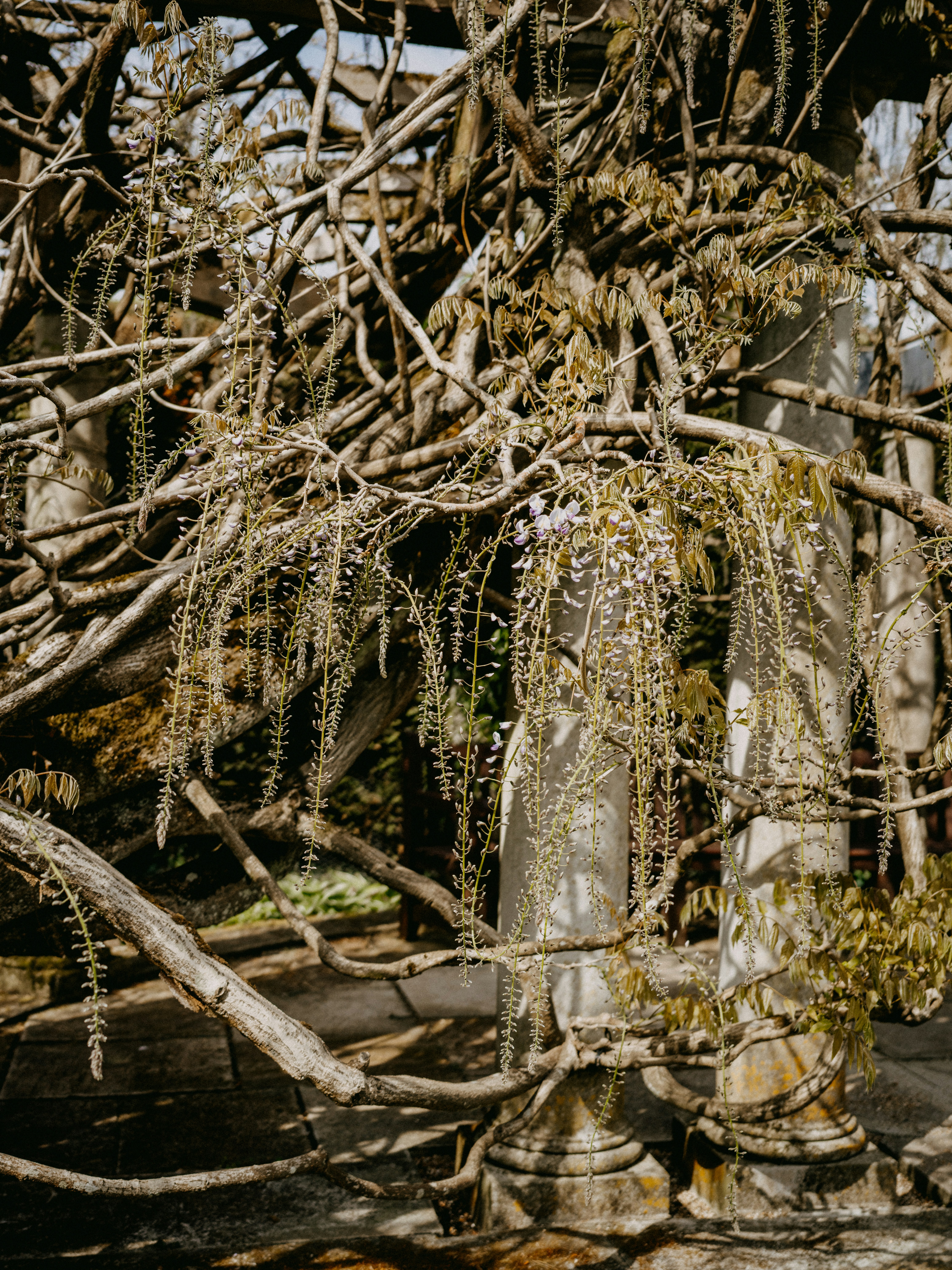 Photo by anniespratt