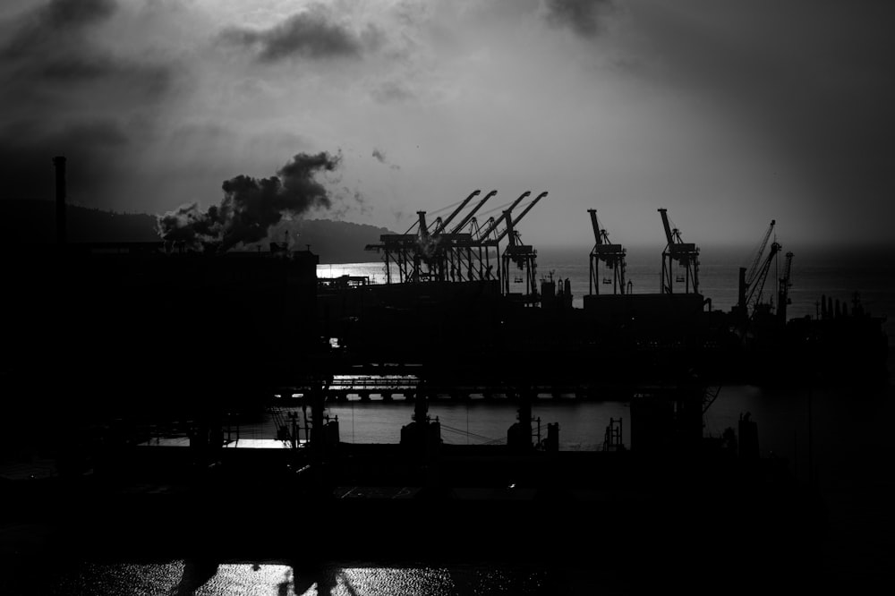 a group of cranes next to a body of water