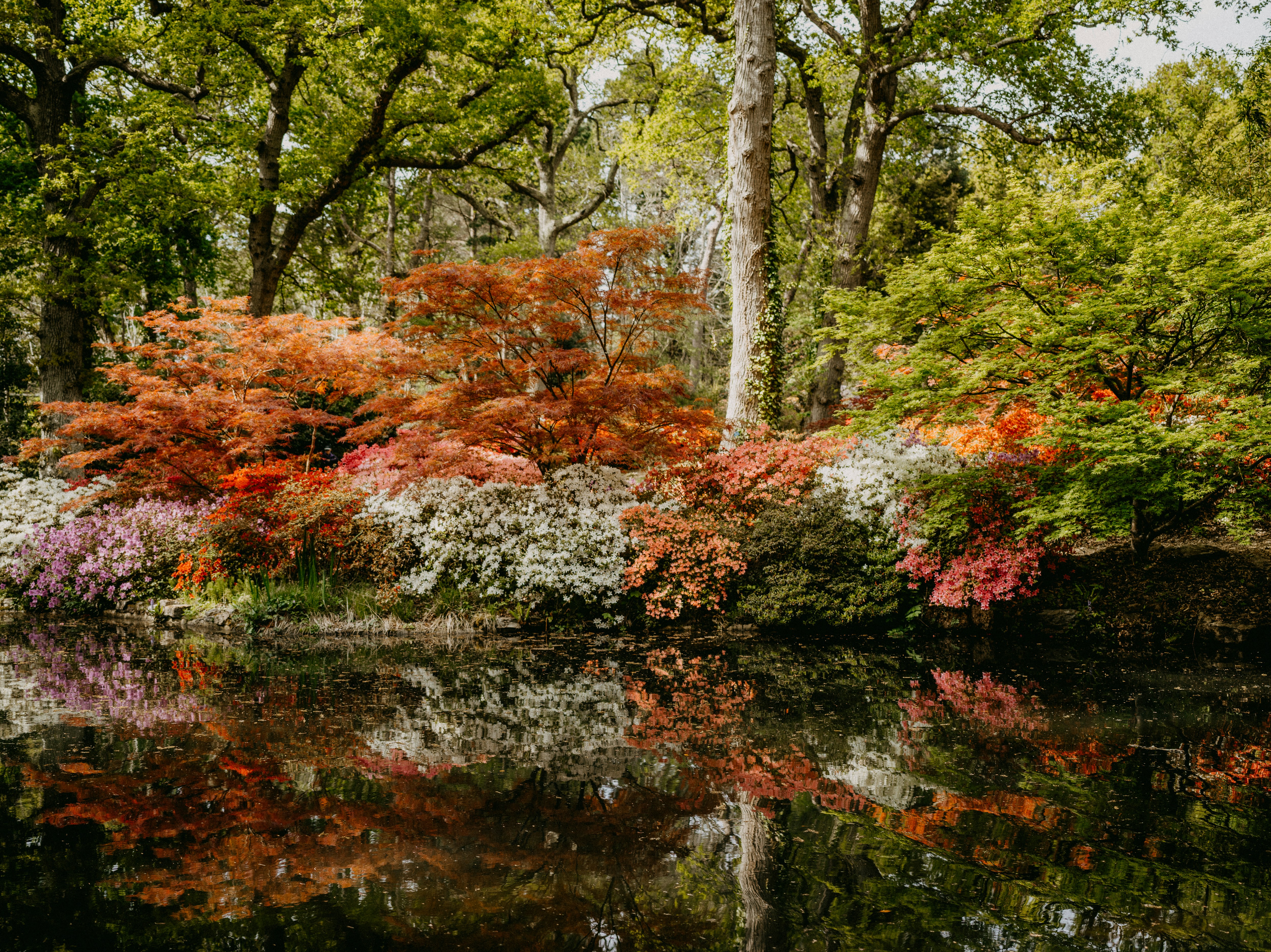 Photo by anniespratt