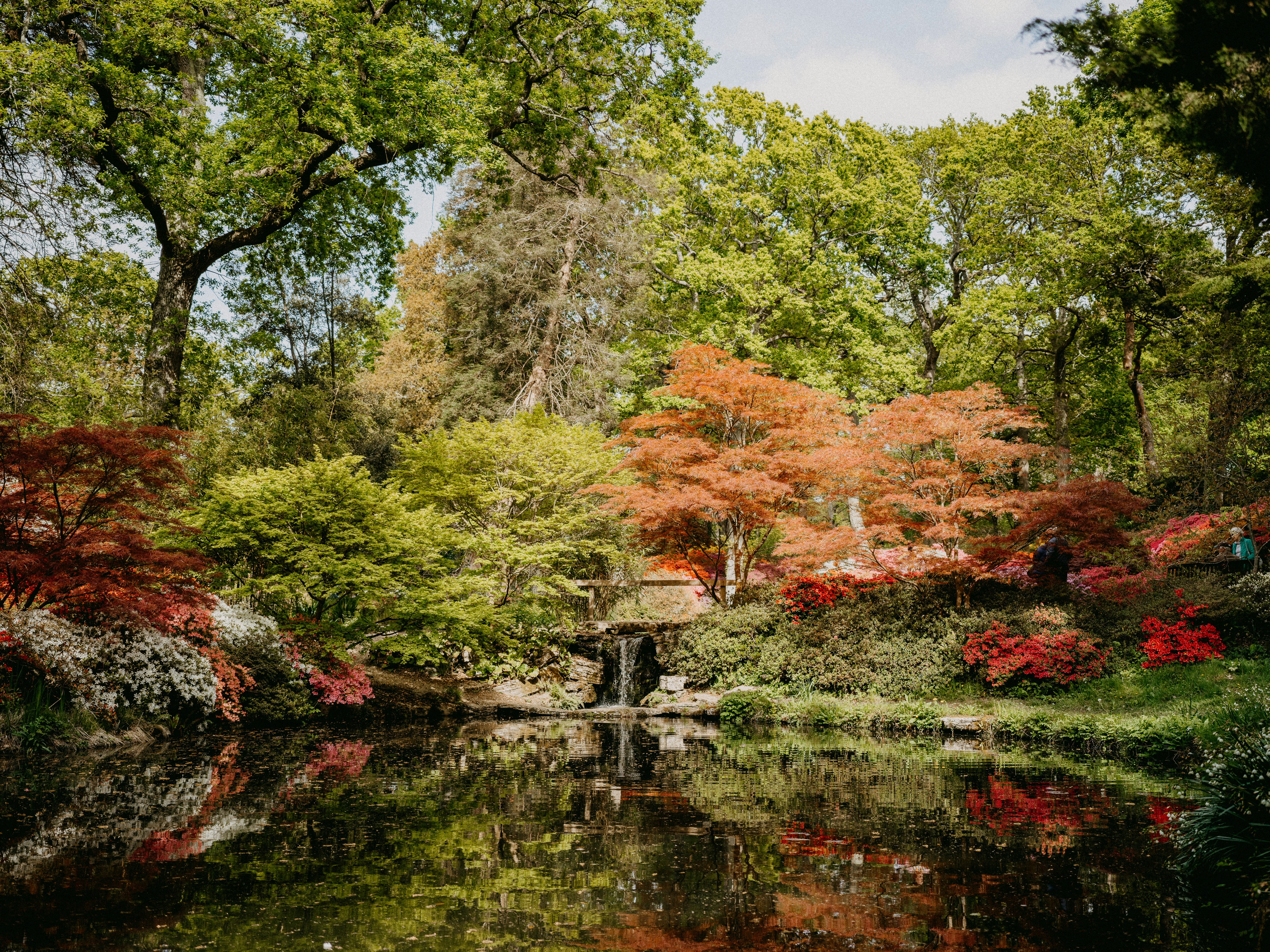 Photo by anniespratt