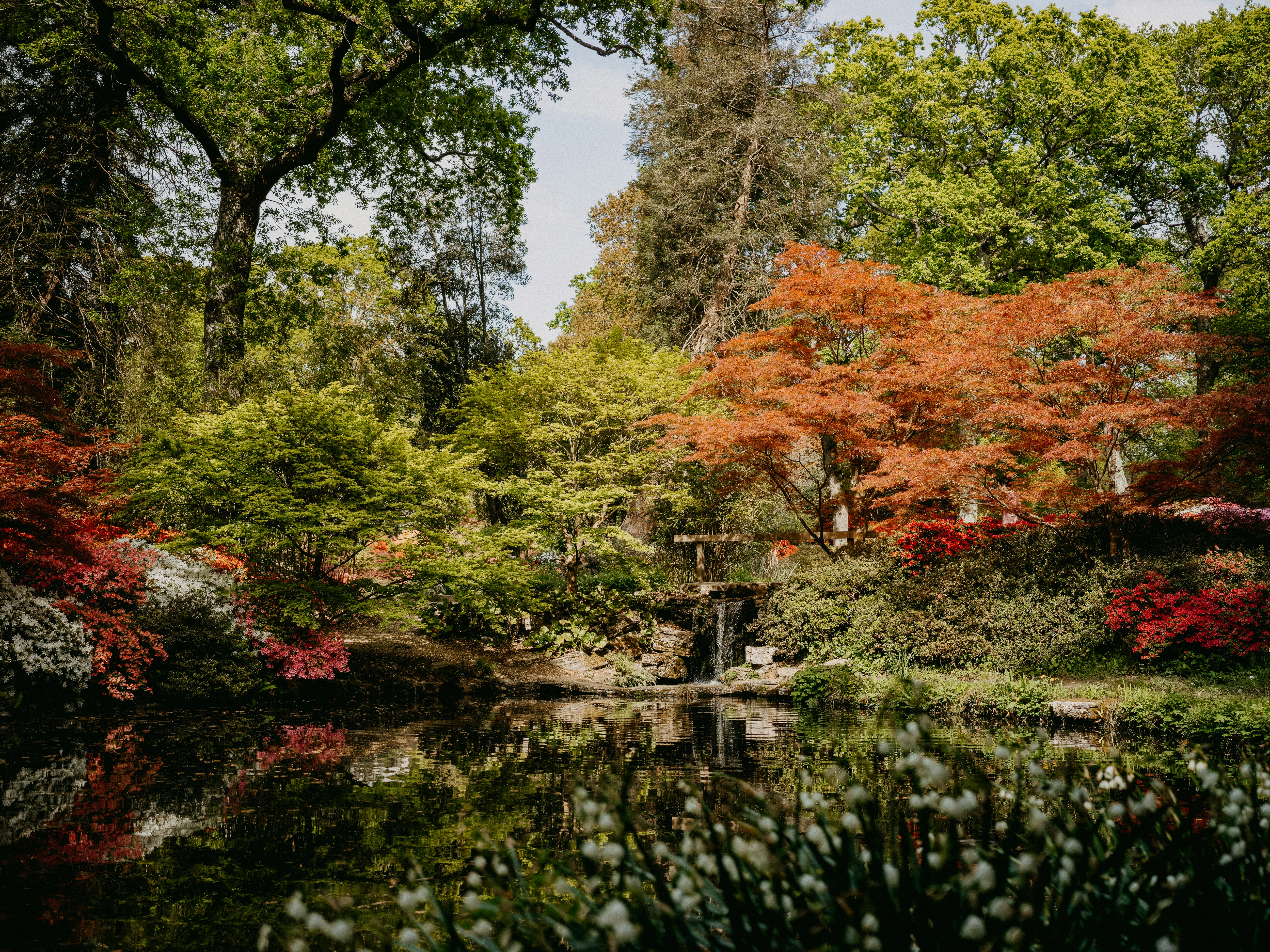 Photo by anniespratt