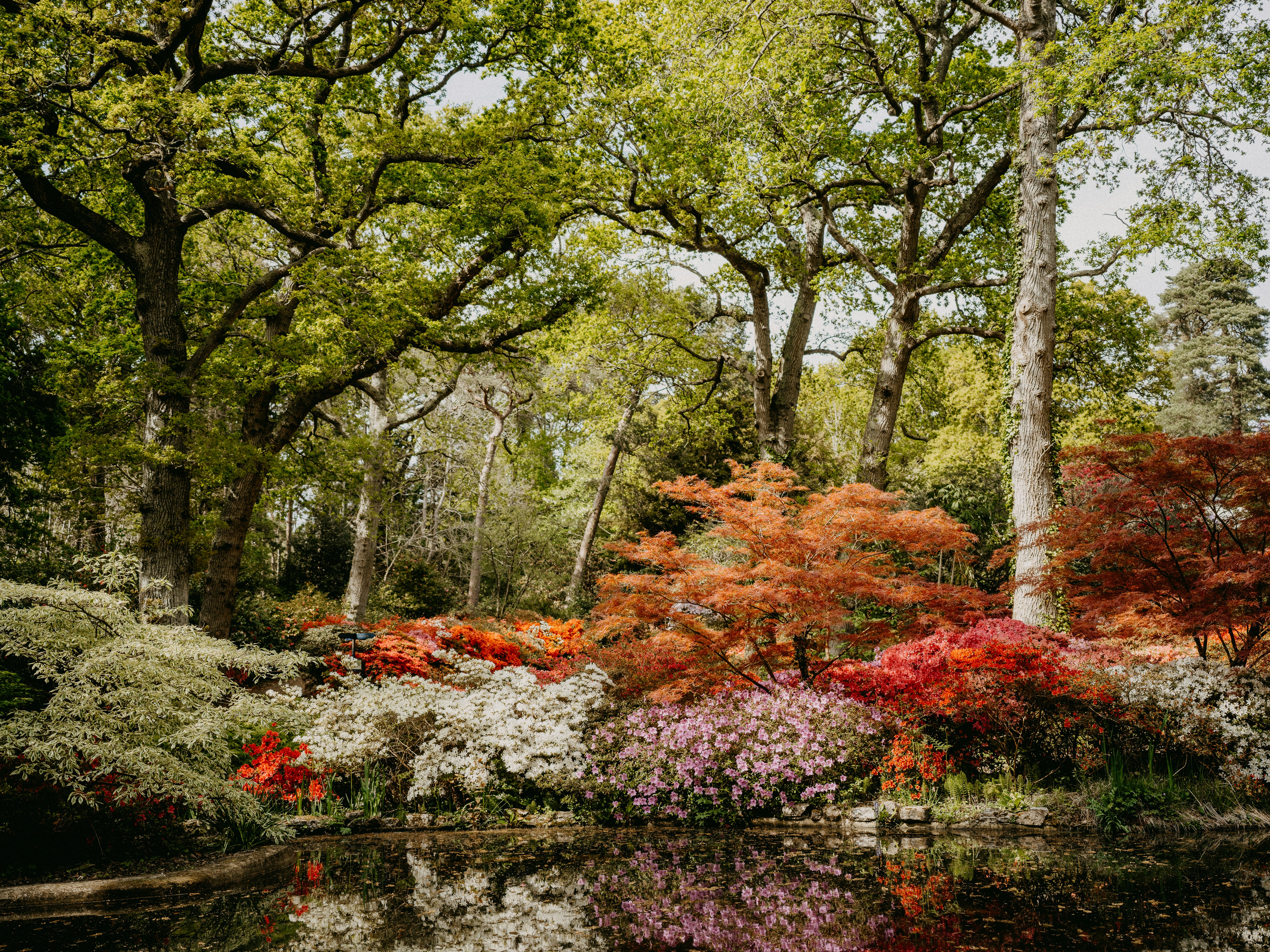 Photo by anniespratt