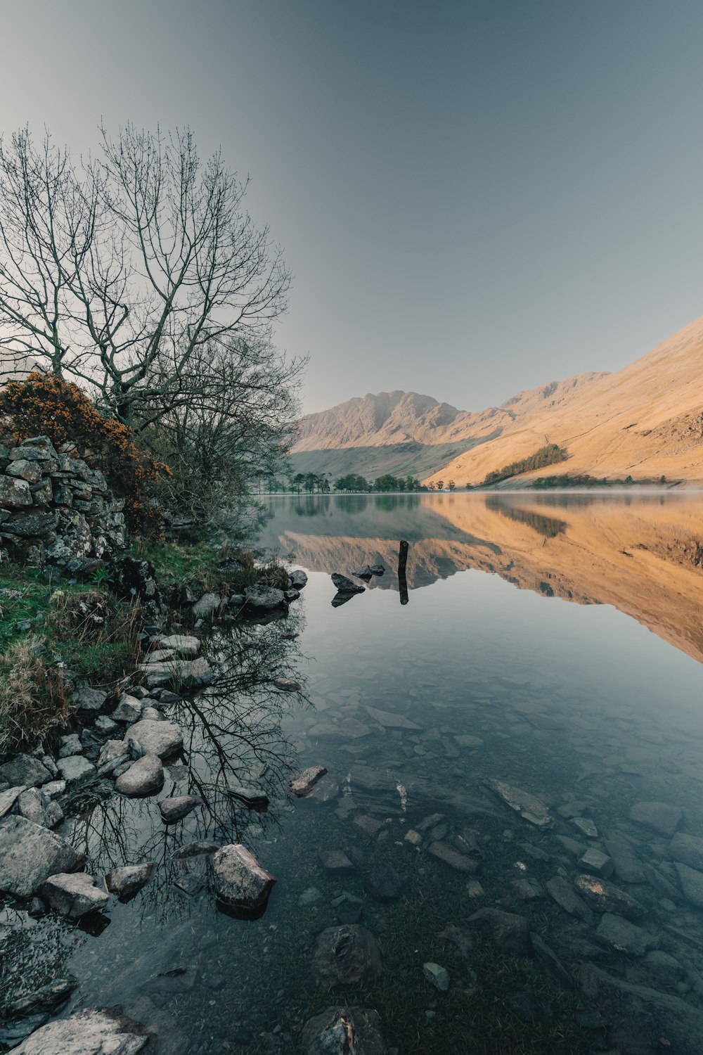 a lake with rocks and trees