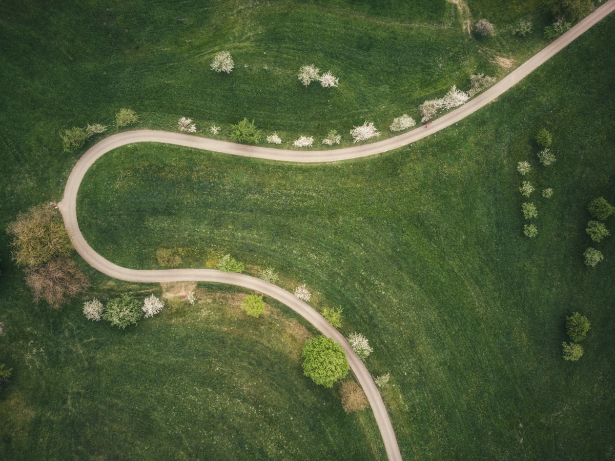non-clinical career paths for physicians