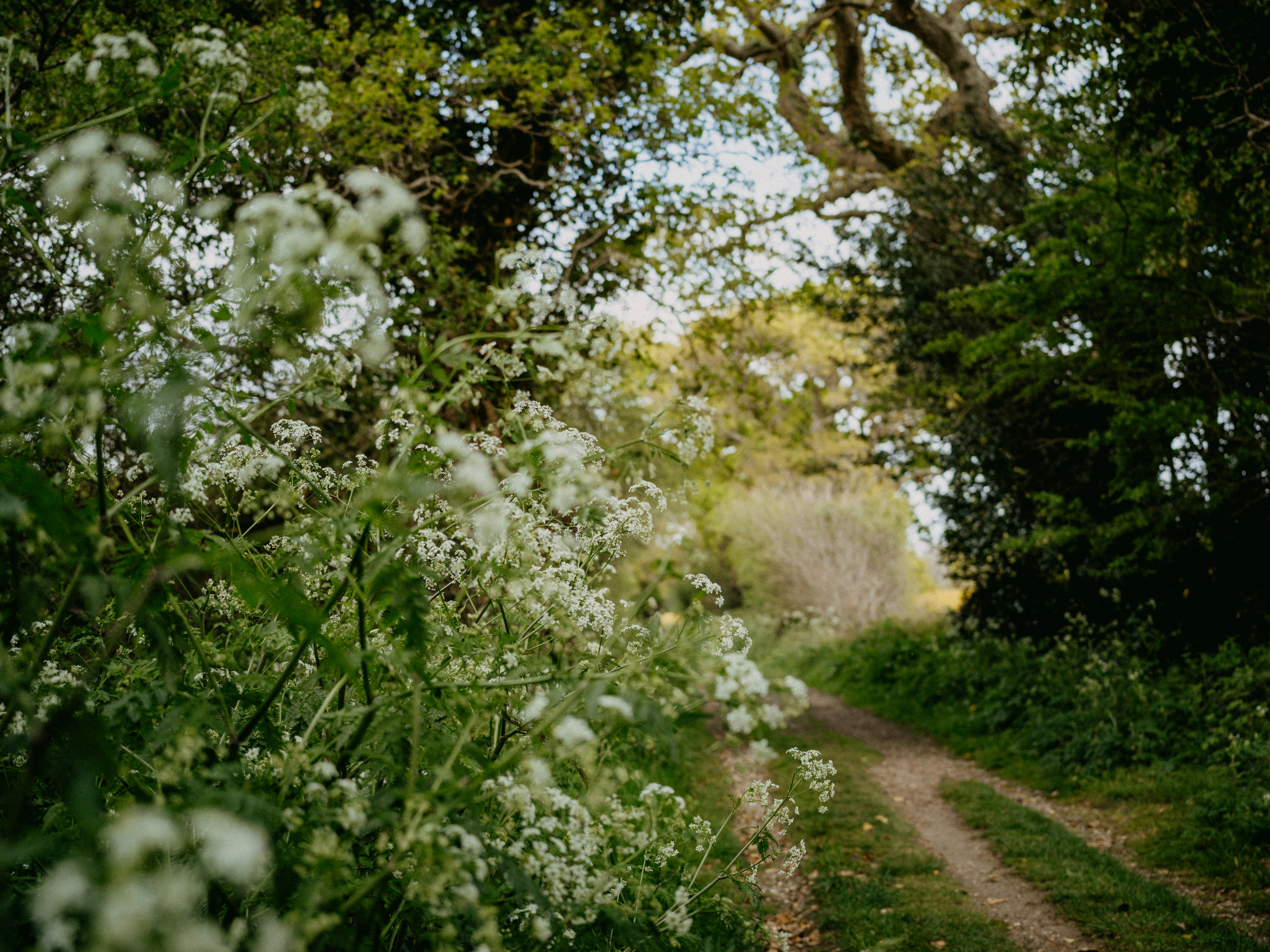 Photo by anniespratt