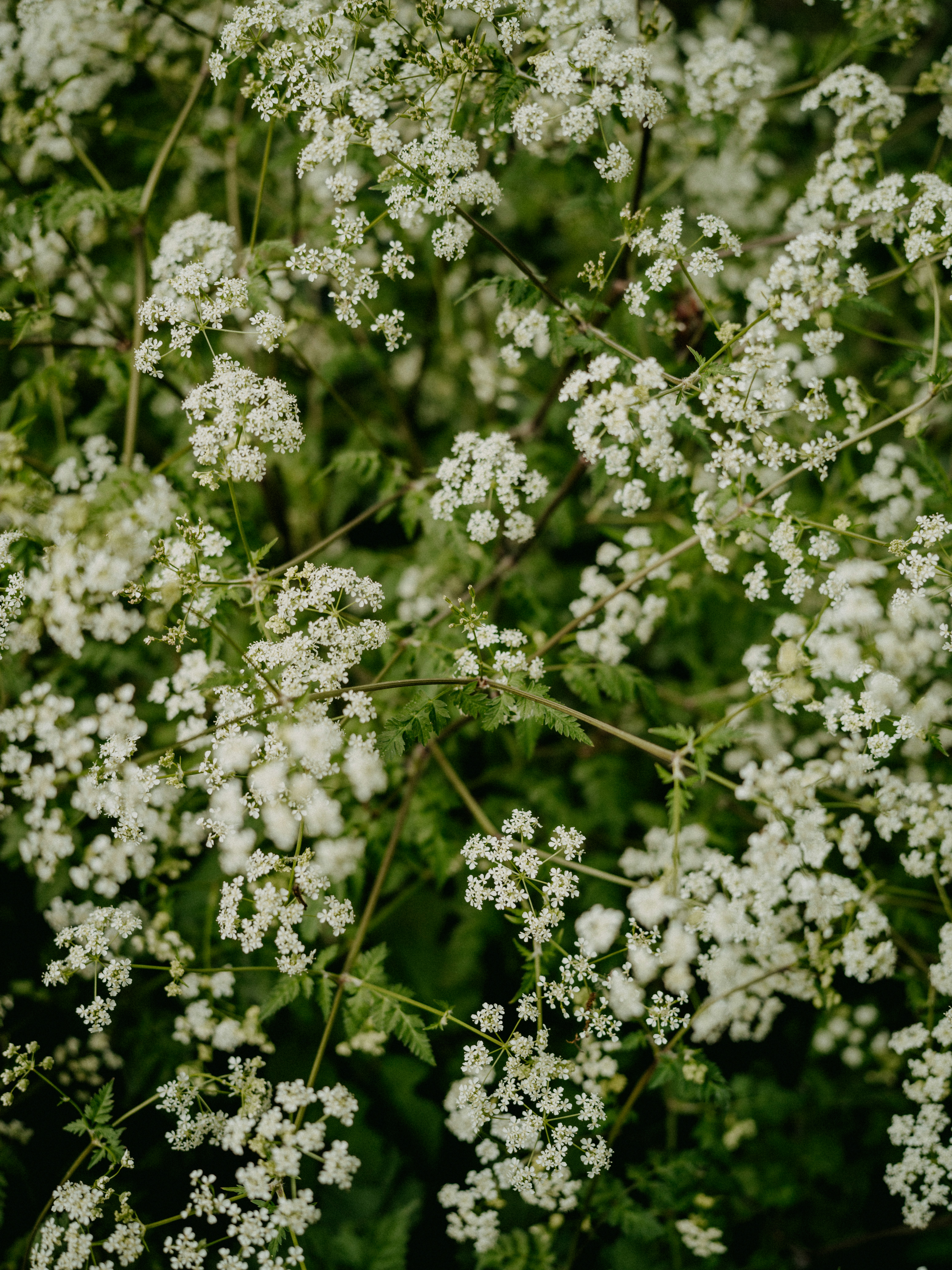 Photo by anniespratt