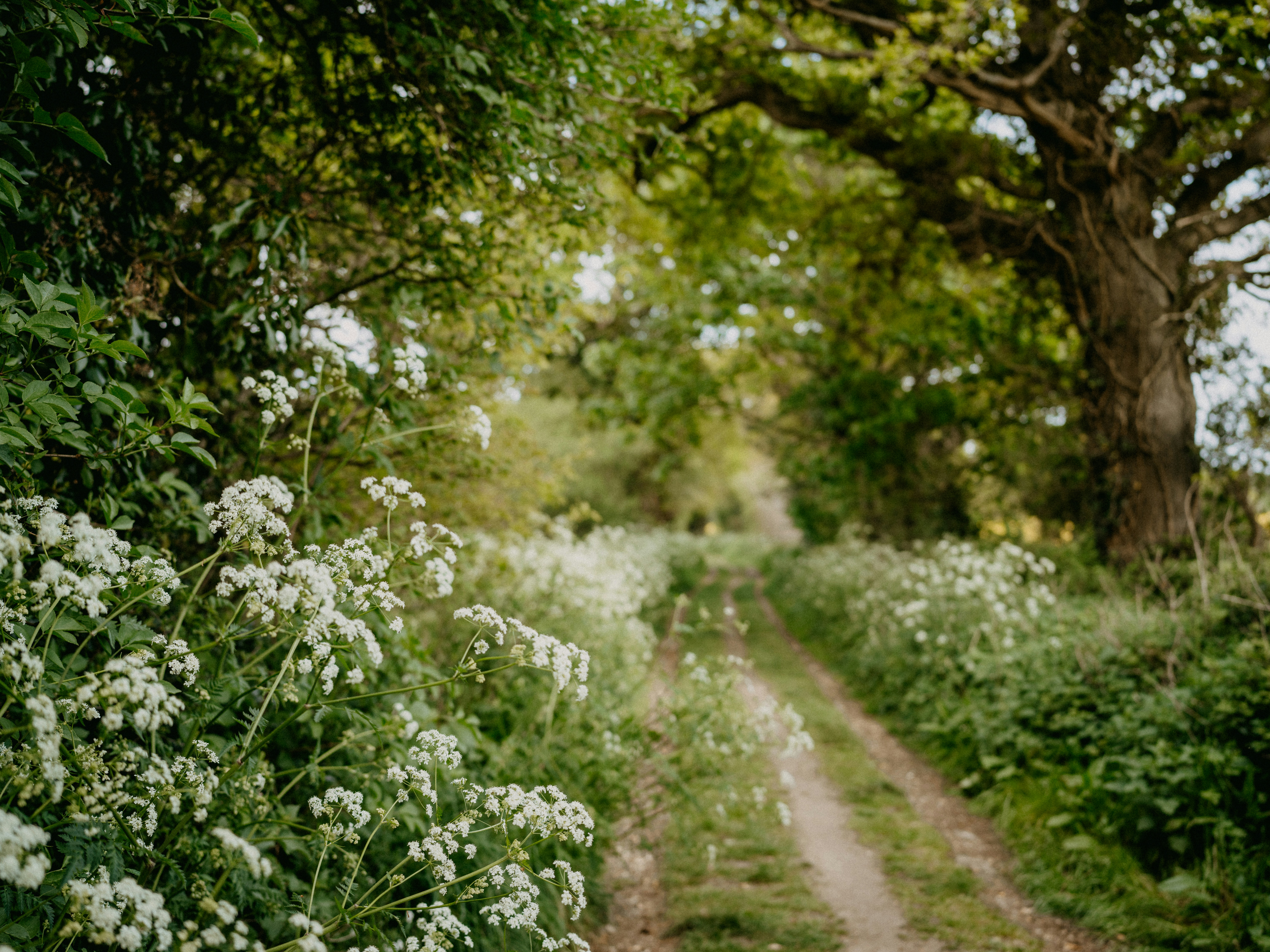 Photo by anniespratt