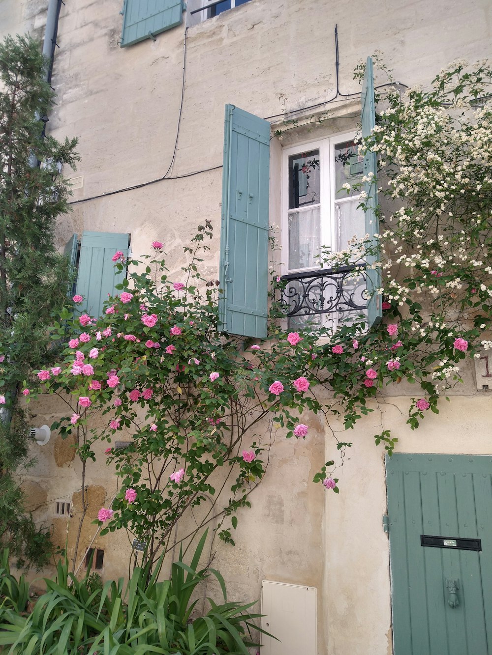 a house with green shutters and pink flowers on the windows