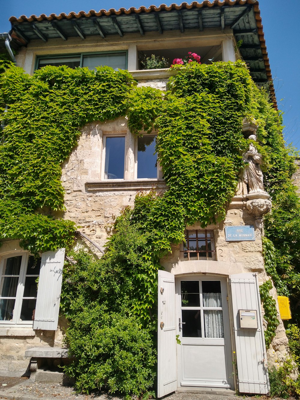 a building with vines growing on it