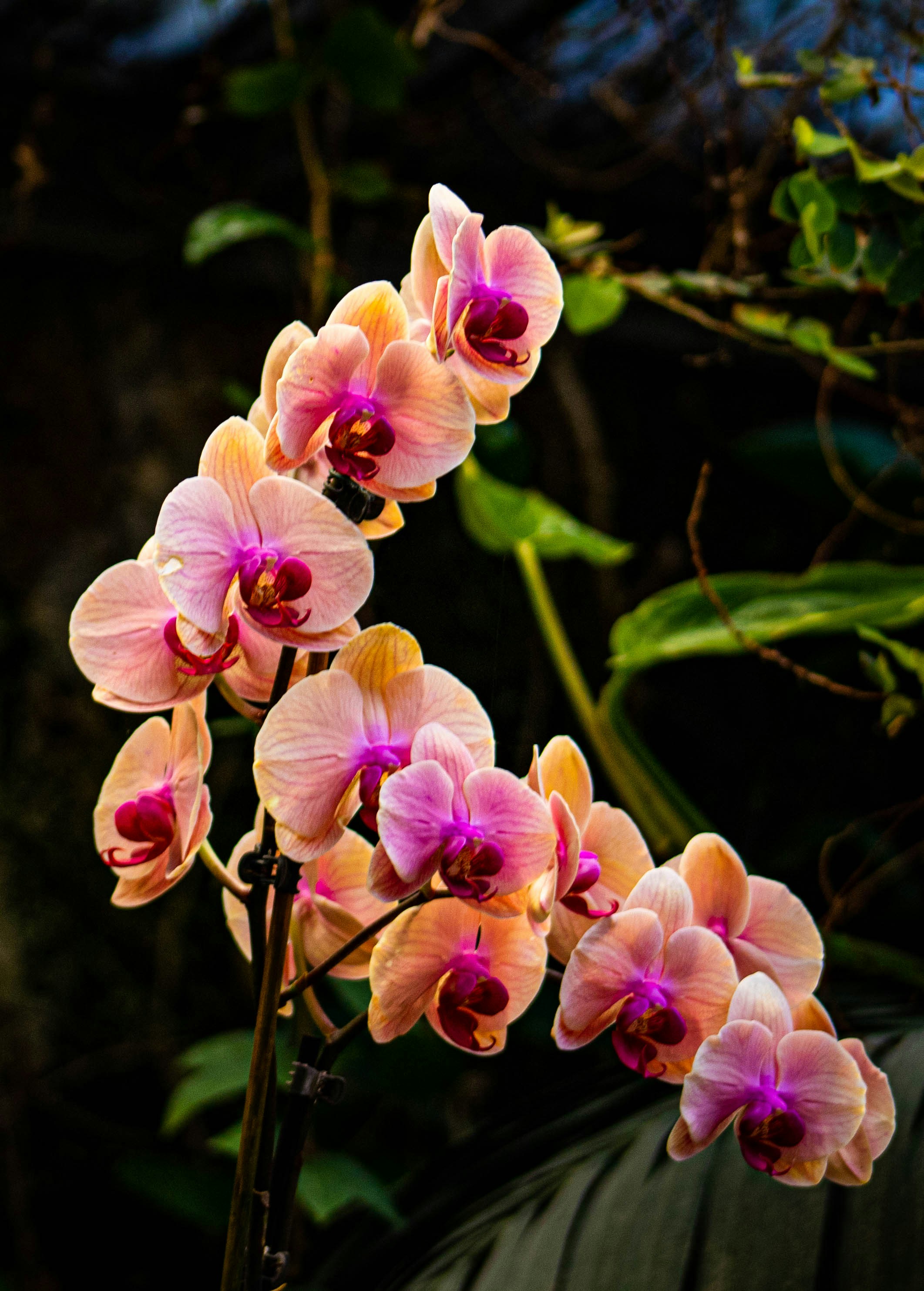 Mejores paginas camisetas futbol baratas