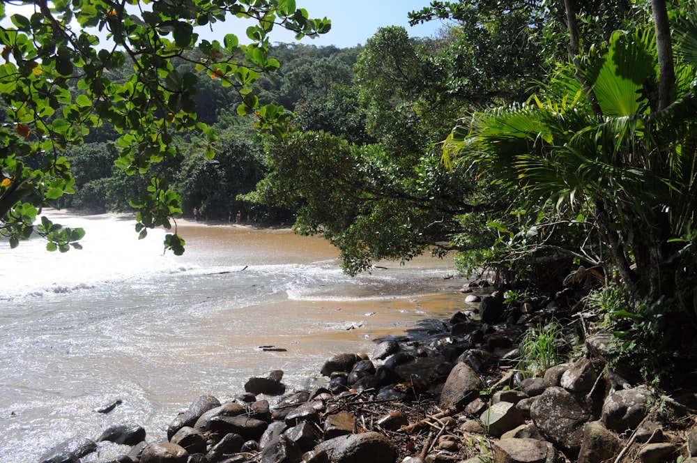 a river with rocks and trees