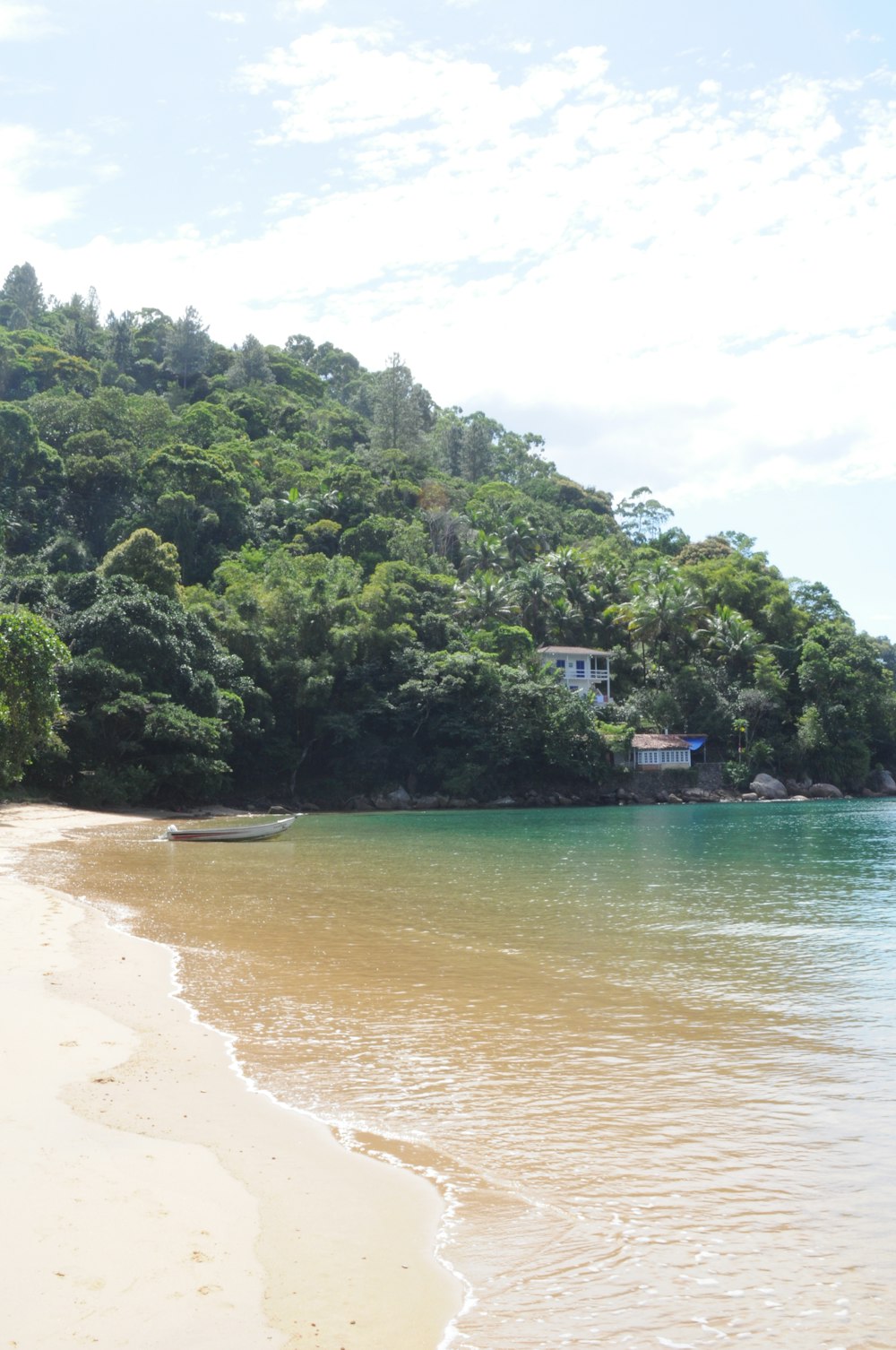 una playa con árboles y una casa