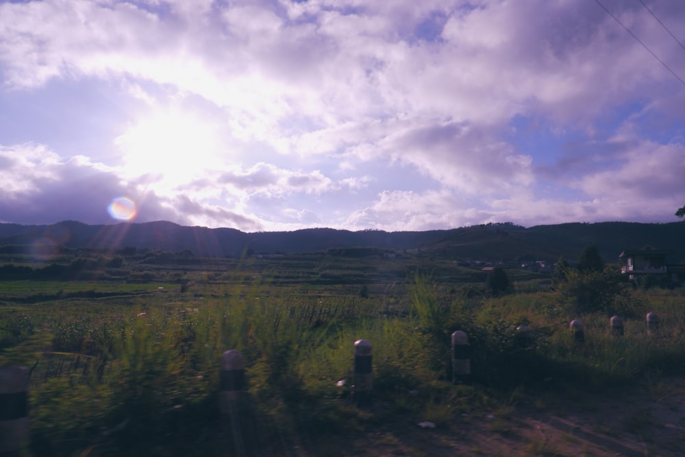 a field with a fence and trees