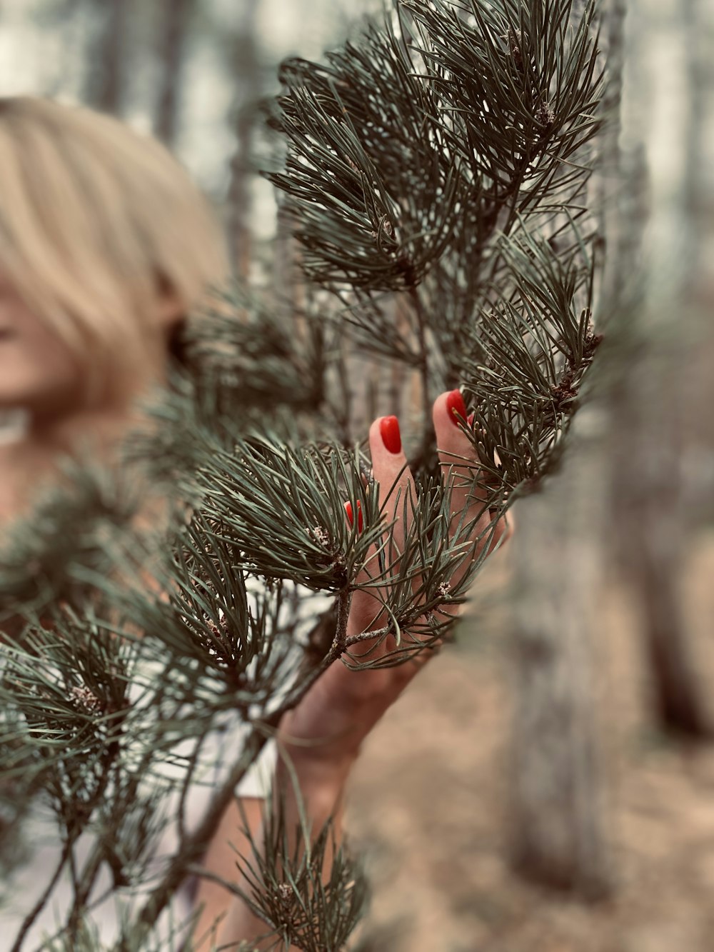 a pine cone with red and white cones on it