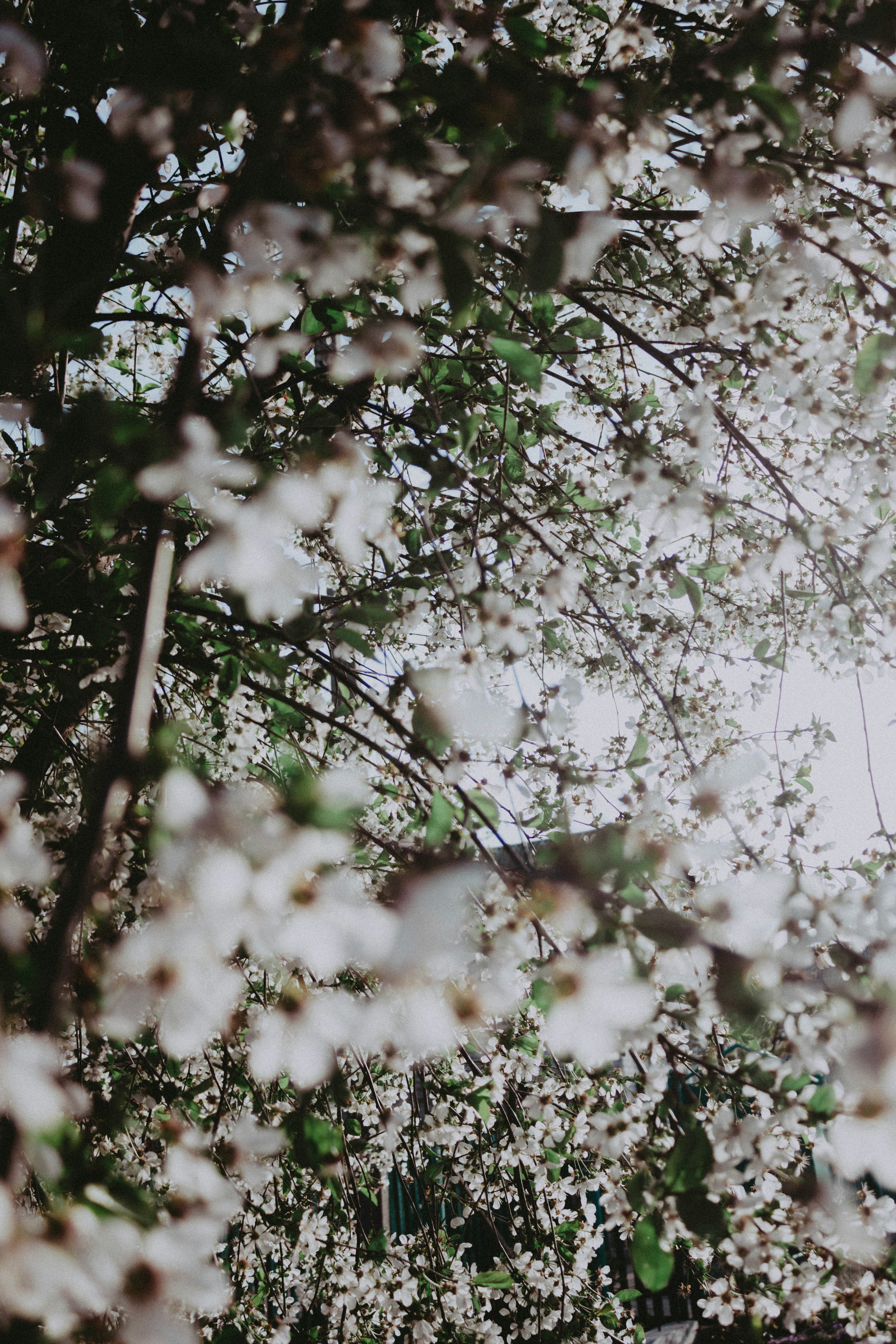 Photo by freddieaddery
