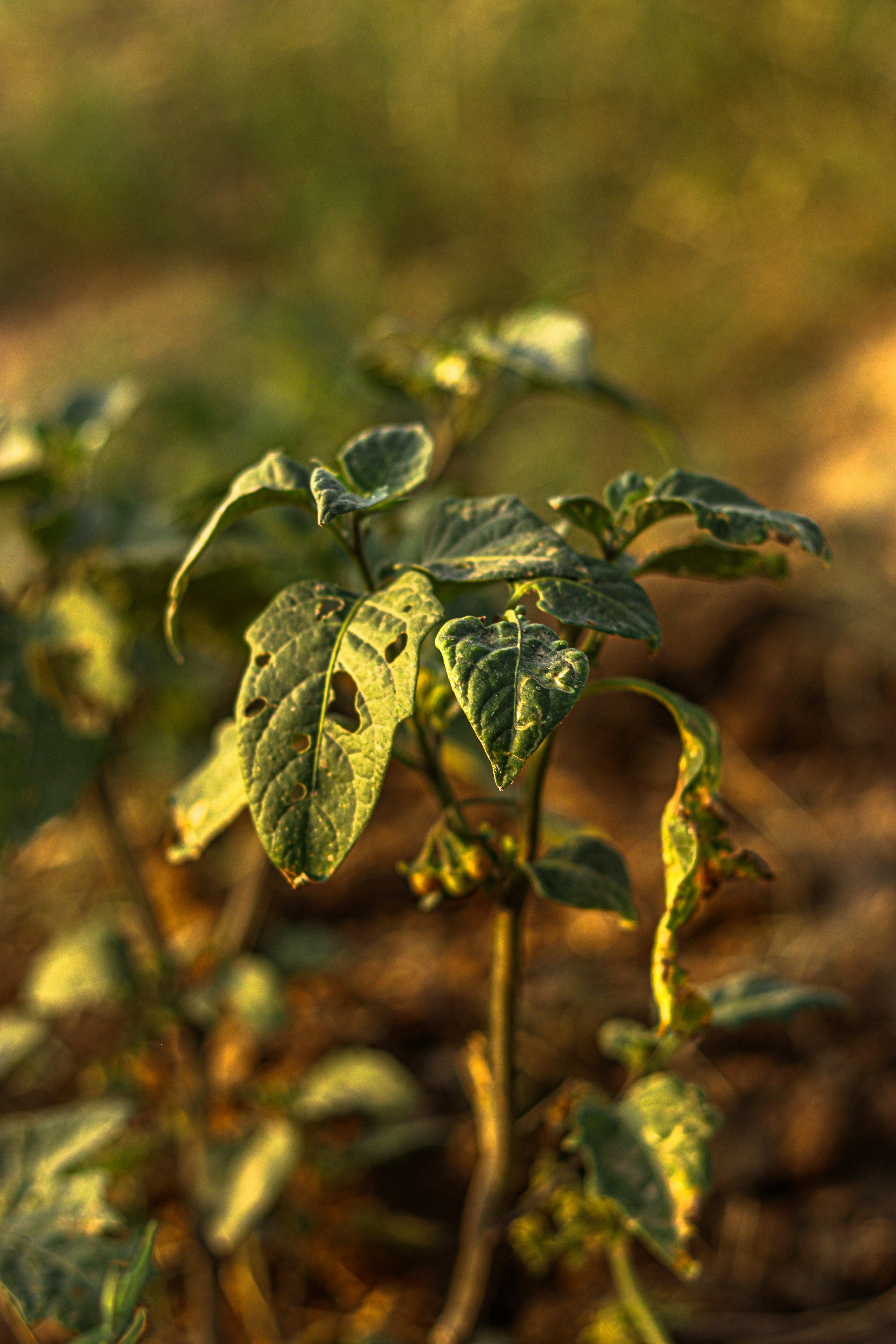 Photo by swastikarora