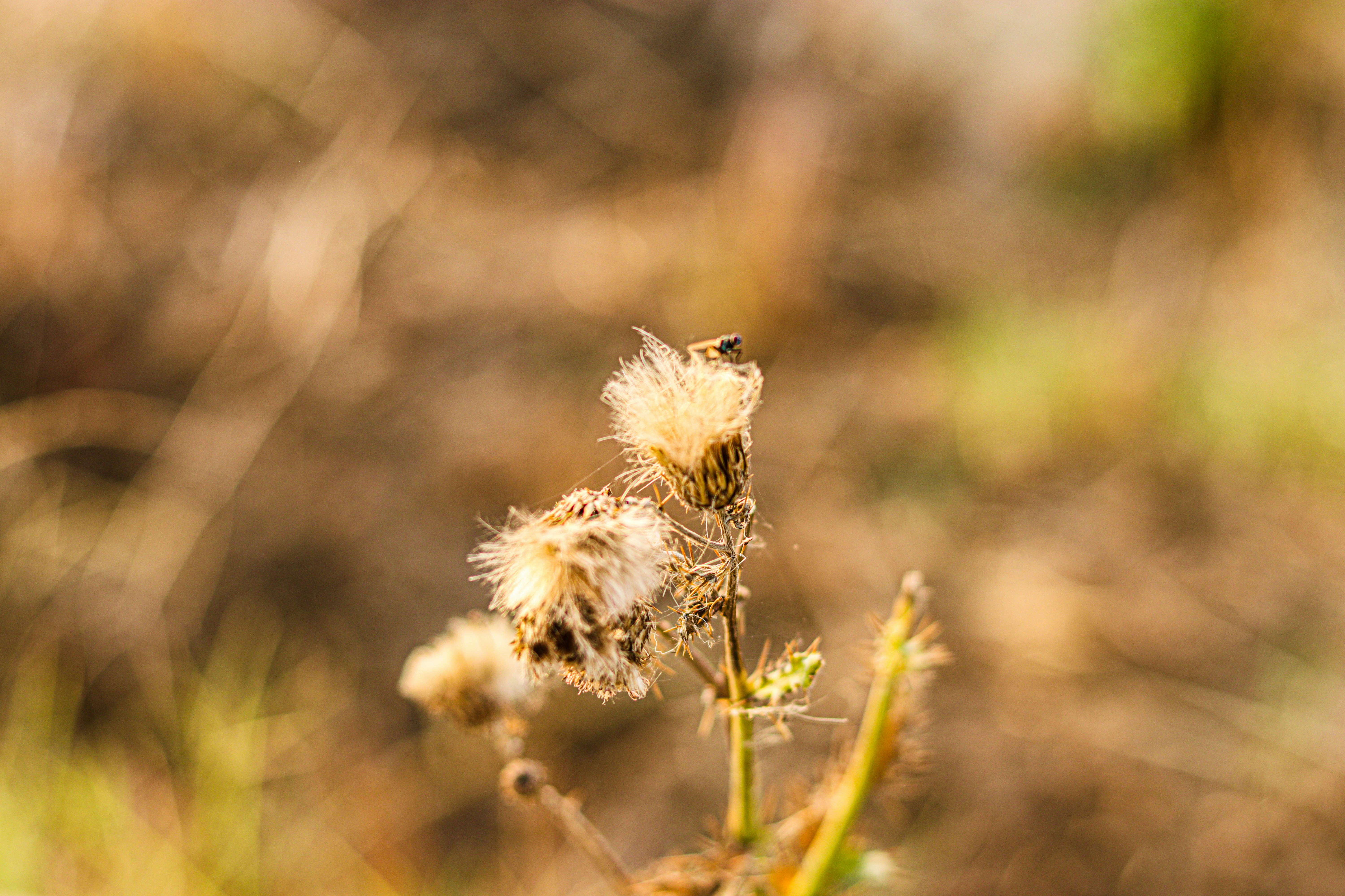 Photo by swastikarora