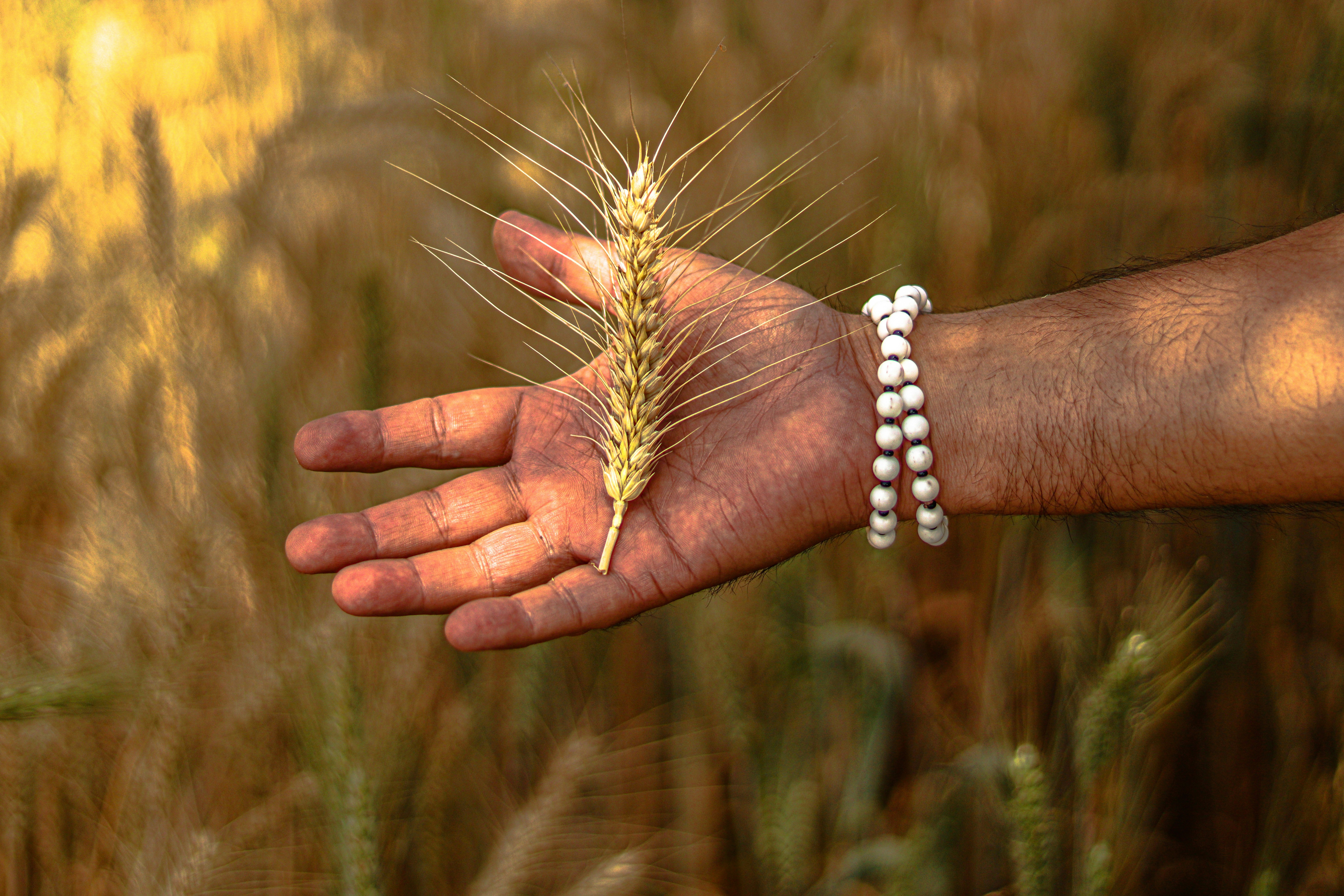 Photo by swastikarora