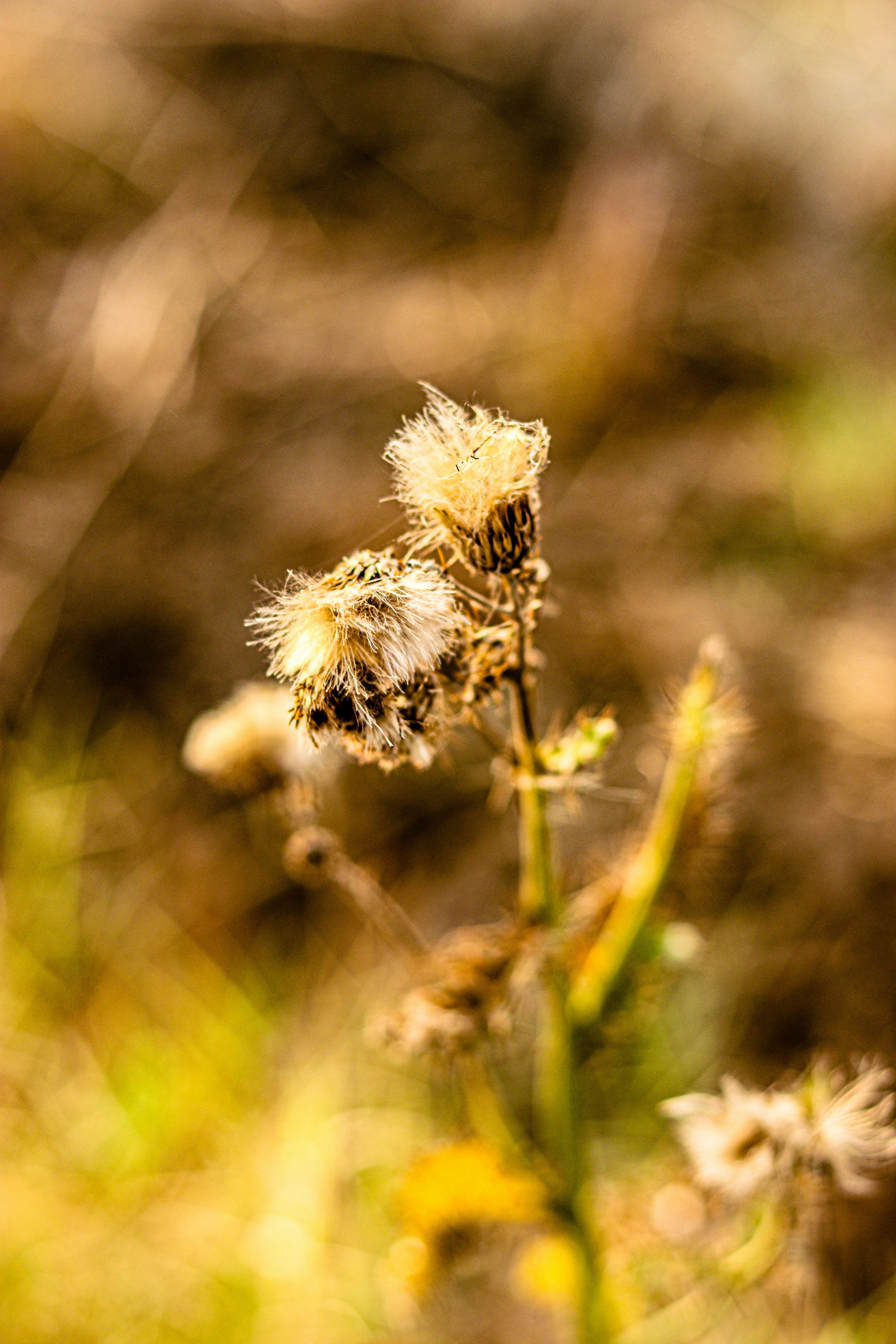 Photo by swastikarora